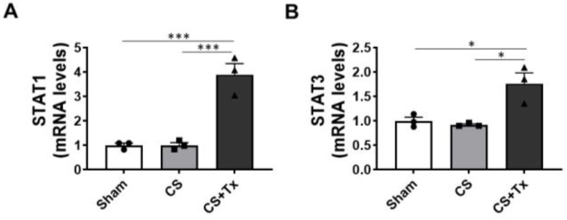 Ijms 24 05468 g003 Ijms 24 05468 g003