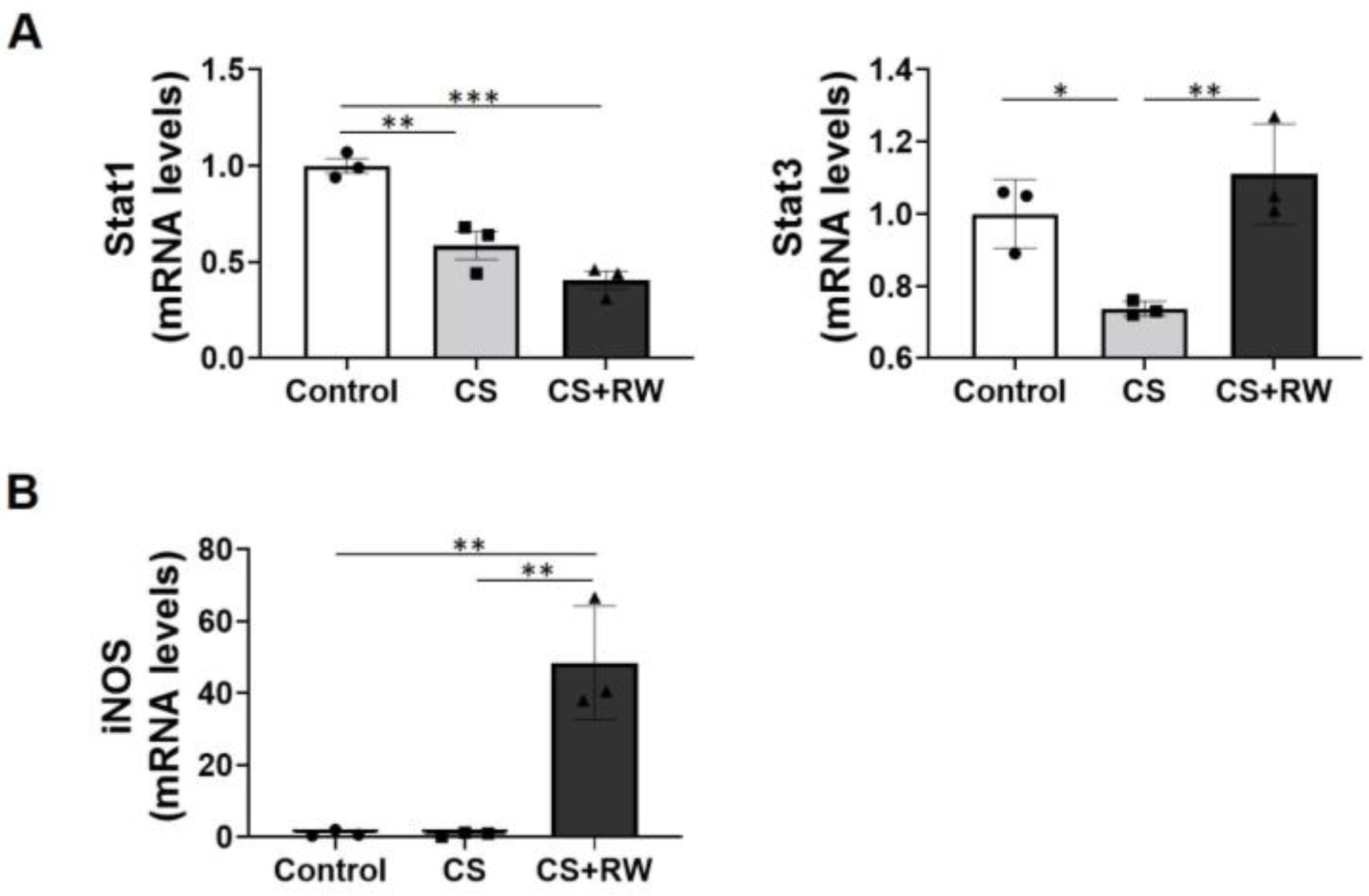 Ijms 24 05468 g005 Ijms 24 05468 g005