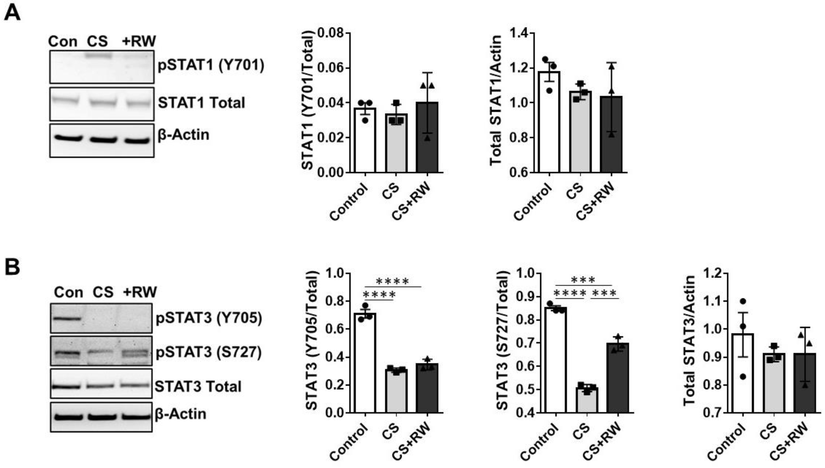 Ijms 24 05468 g006 Ijms 24 05468 g006