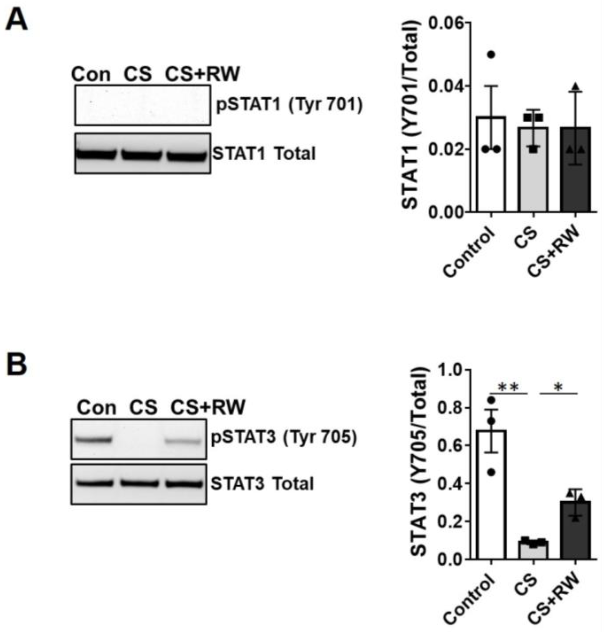 Ijms 24 05468 g007 Ijms 24 05468 g007