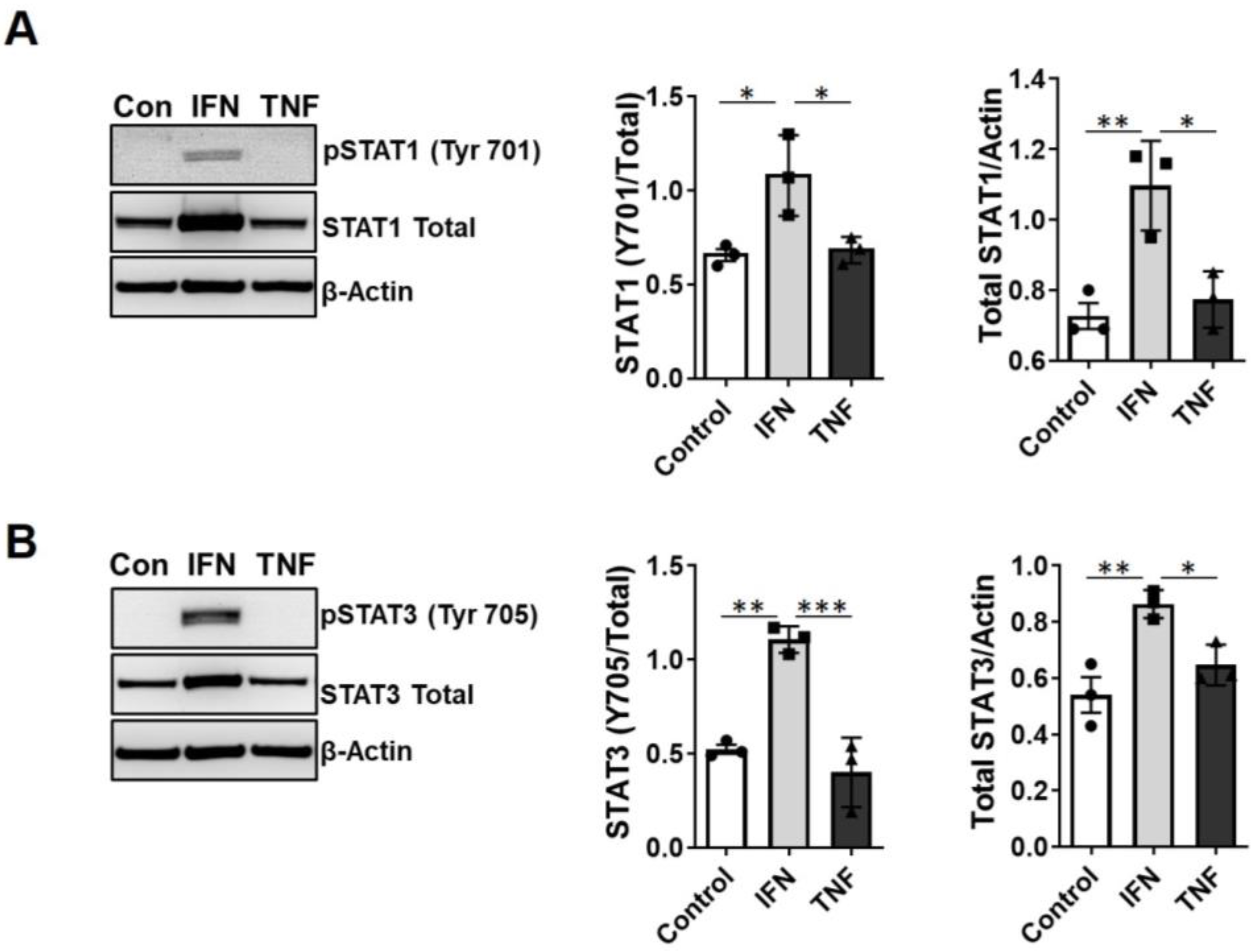 Ijms 24 05468 g008 Ijms 24 05468 g008