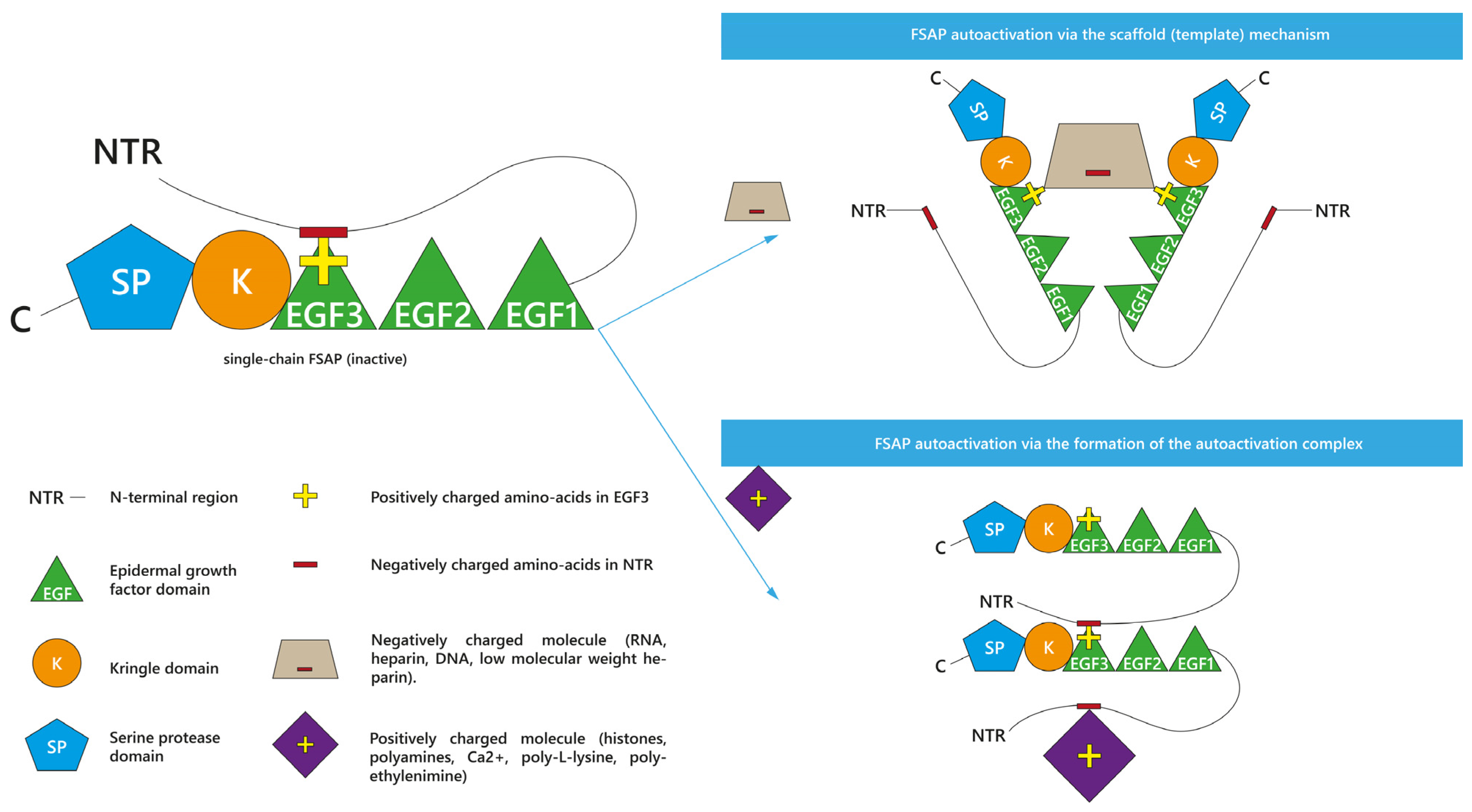 Ijms 24 05473 g002 Ijms 24 05473 g002