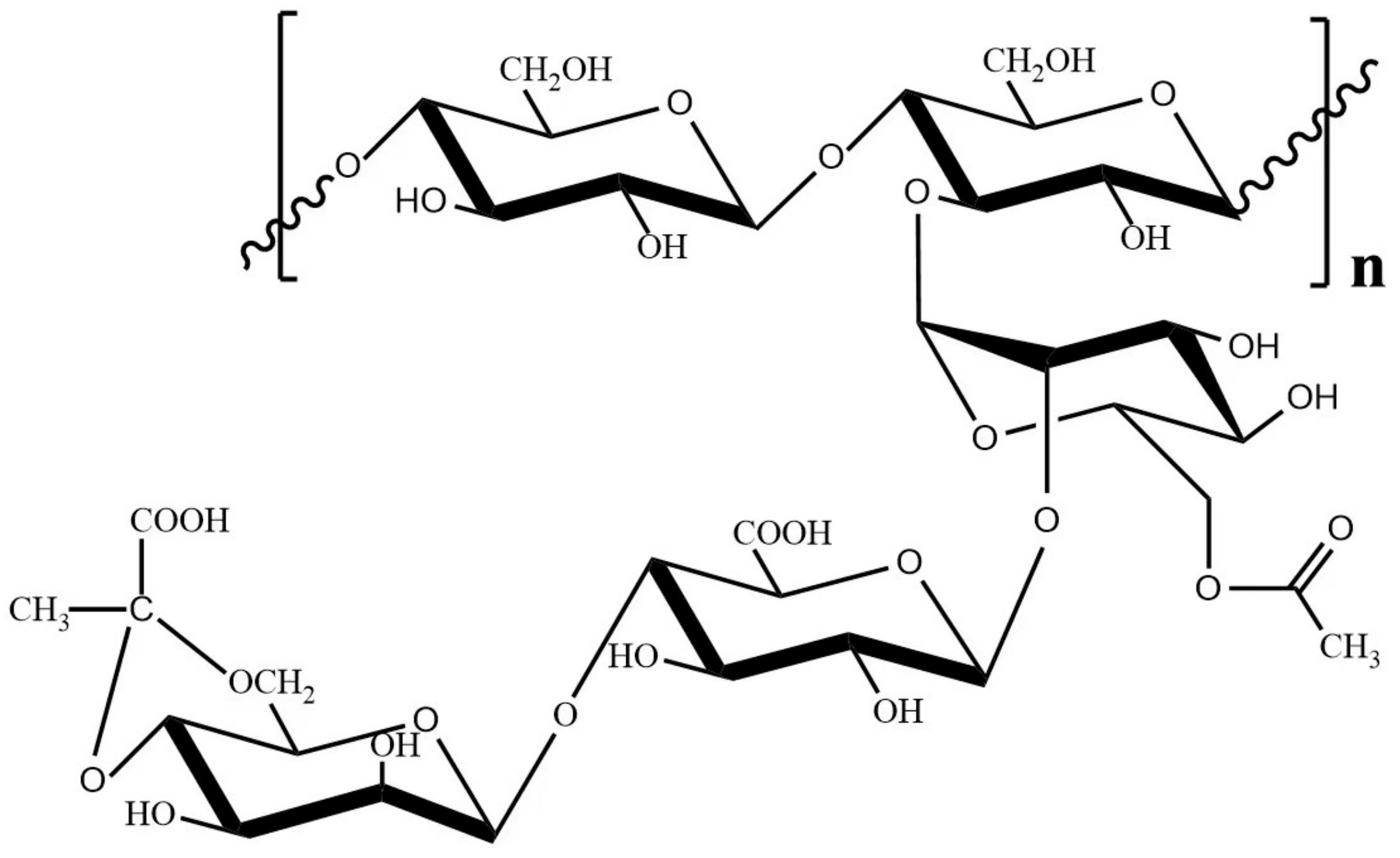 IJMS | Free Full-Text | An Insight into the Essential Role of ...