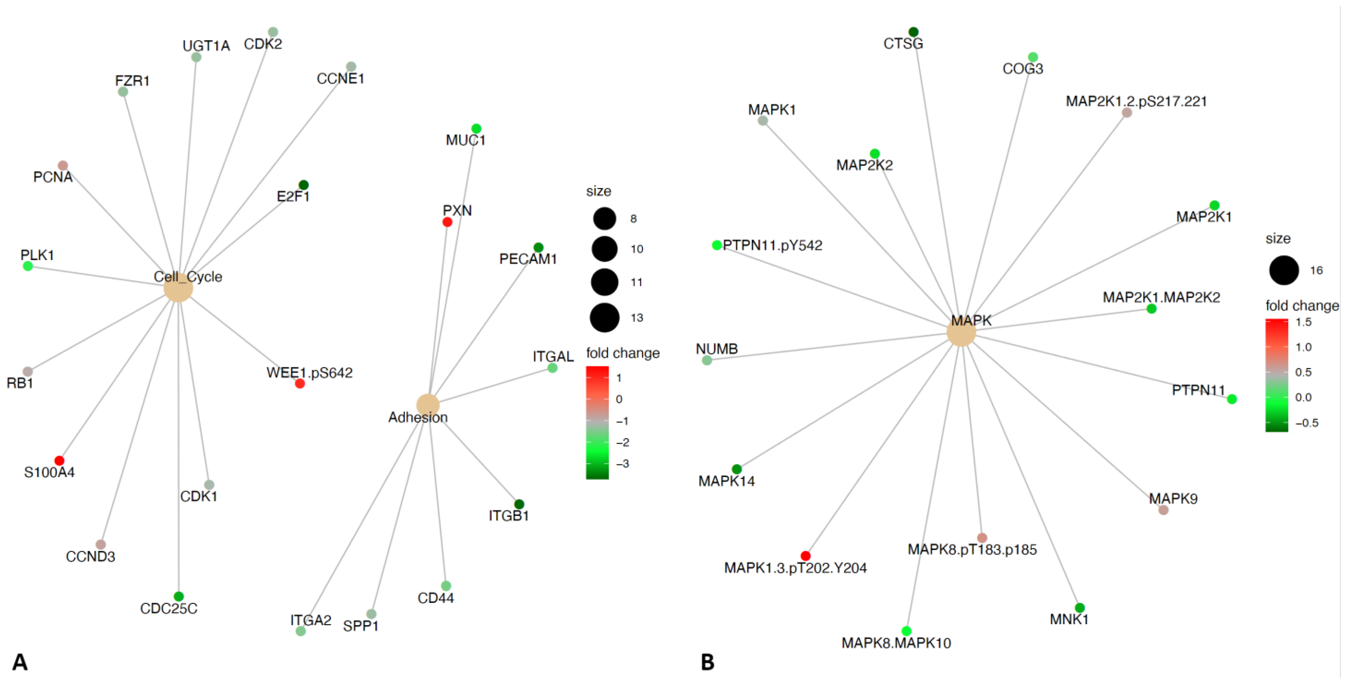 Ijms 24 05481 g006 Ijms 24 05481 g006