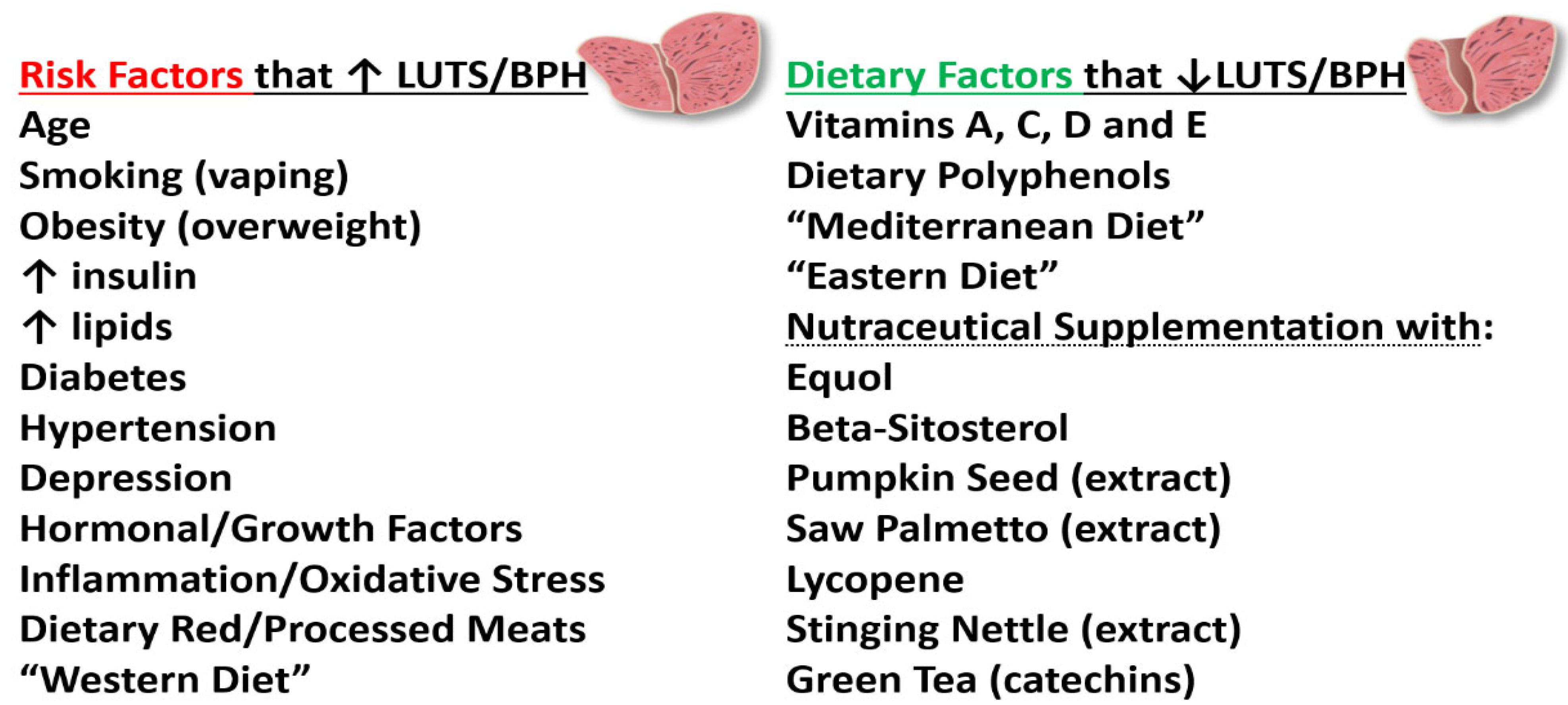 IJMS Free Full Text Overview of BPH Symptom Relief with