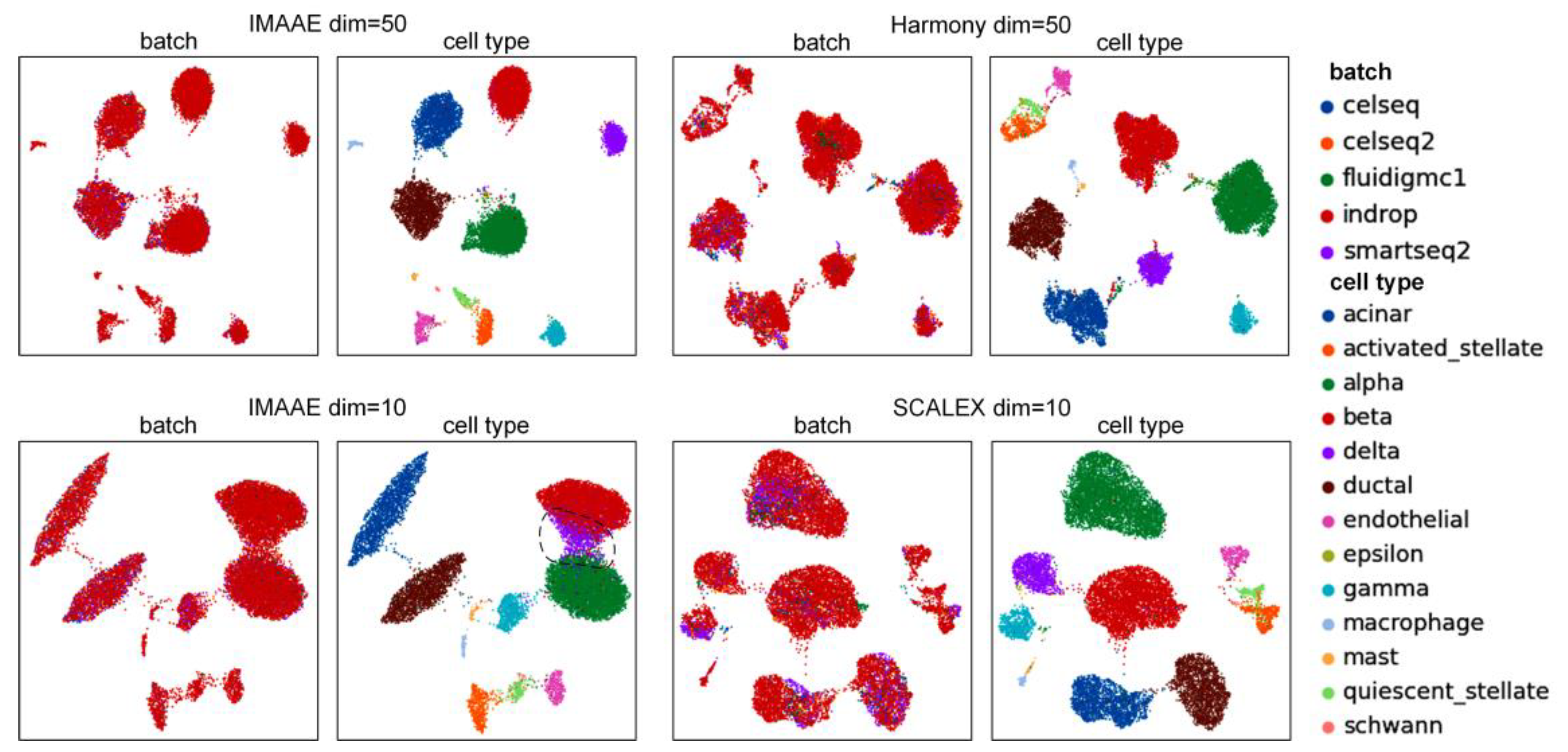 Ijms 24 05502 g008 Ijms 24 05502 g008