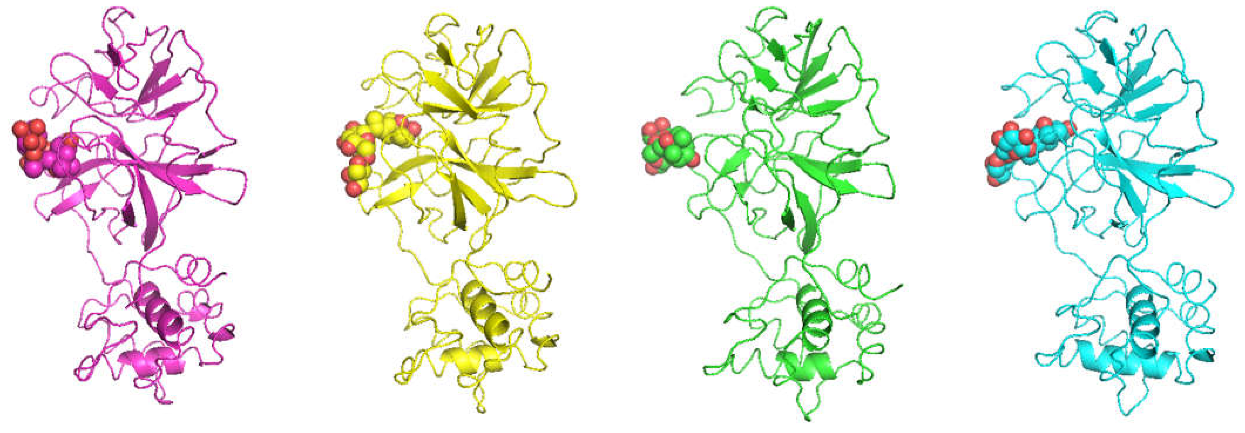 Ijms 24 05511 g001 Ijms 24 05511 g001