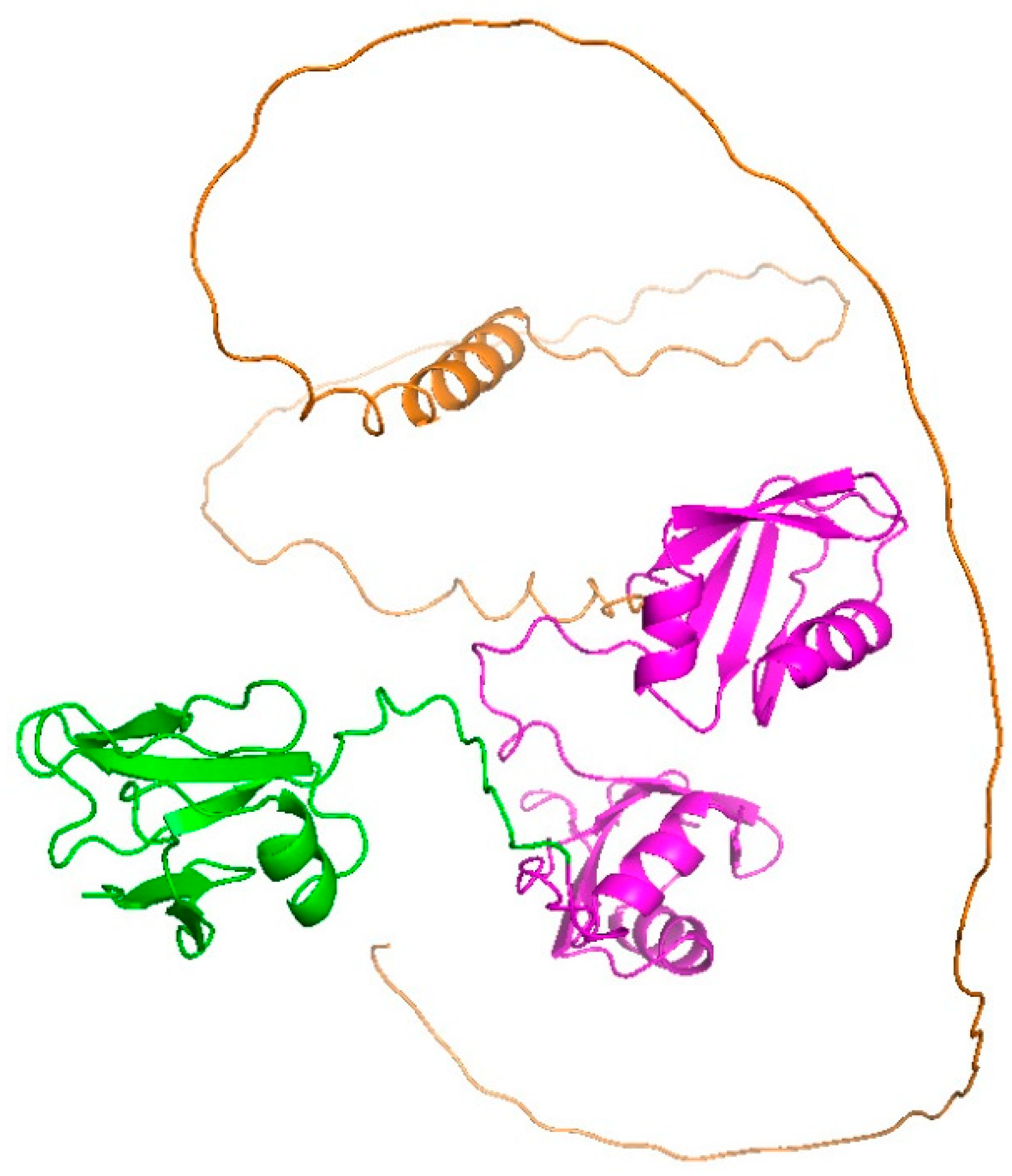 Ijms 24 05513 g001 Ijms 24 05513 g001