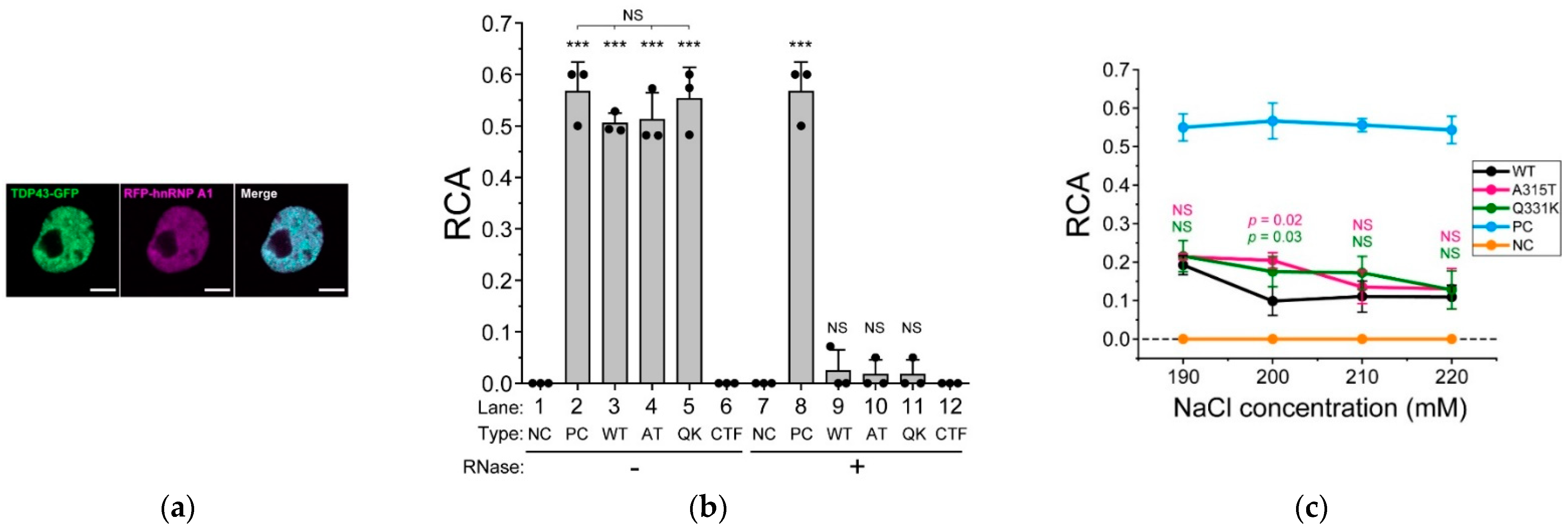Ijms 24 05513 g003 Ijms 24 05513 g003