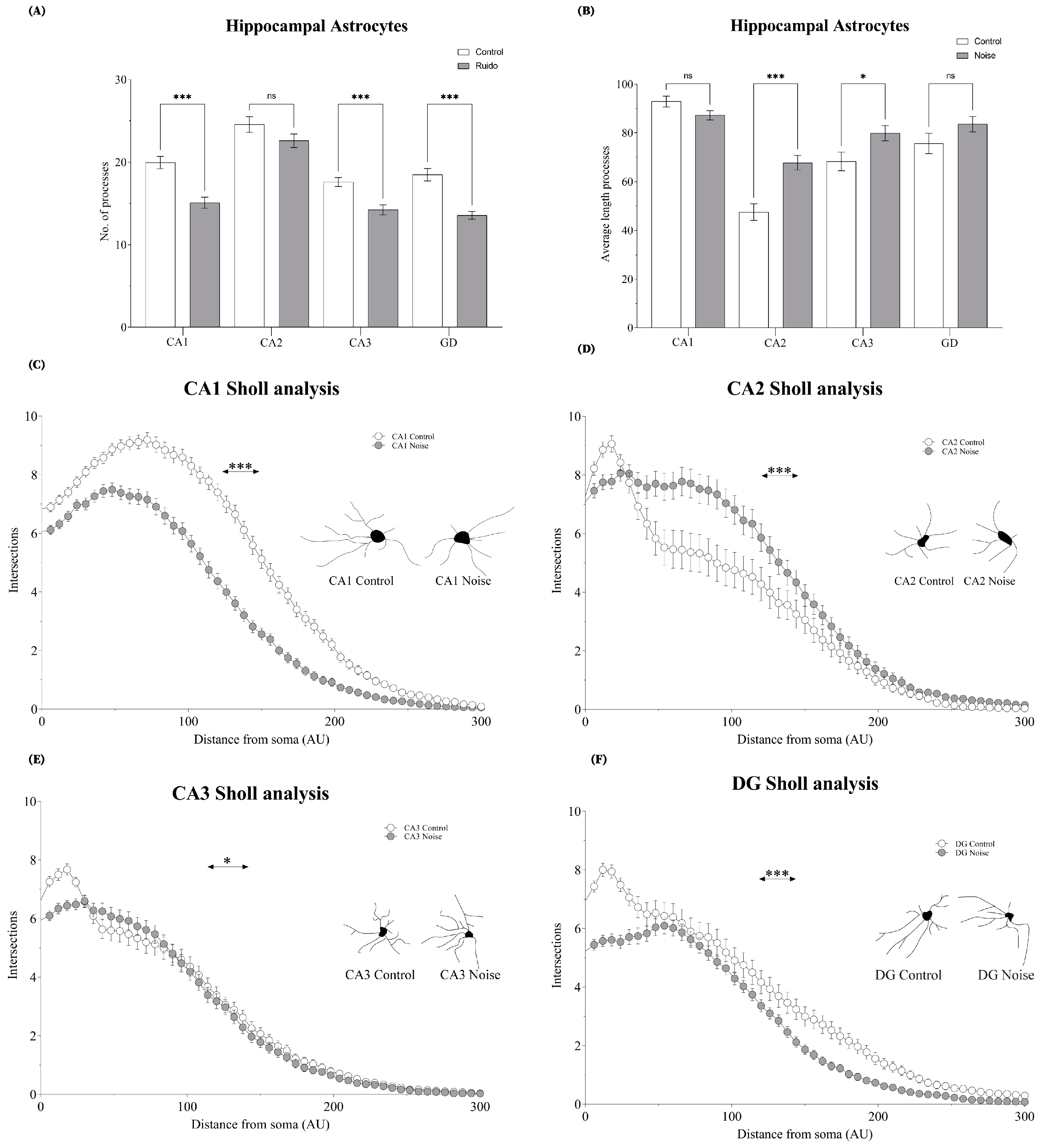 Ijms 24 05520 g003 Ijms 24 05520 g003