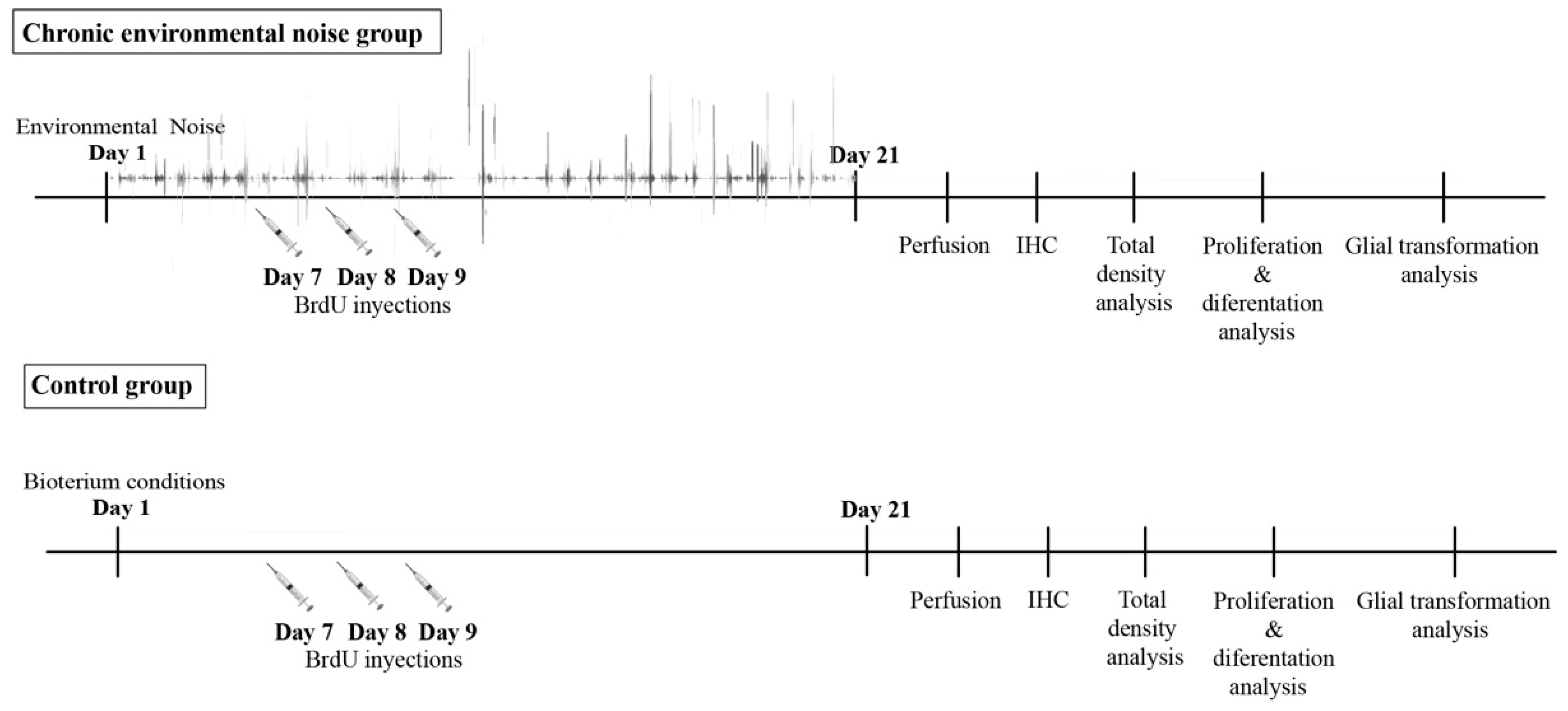 Ijms 24 05520 g006 Ijms 24 05520 g006