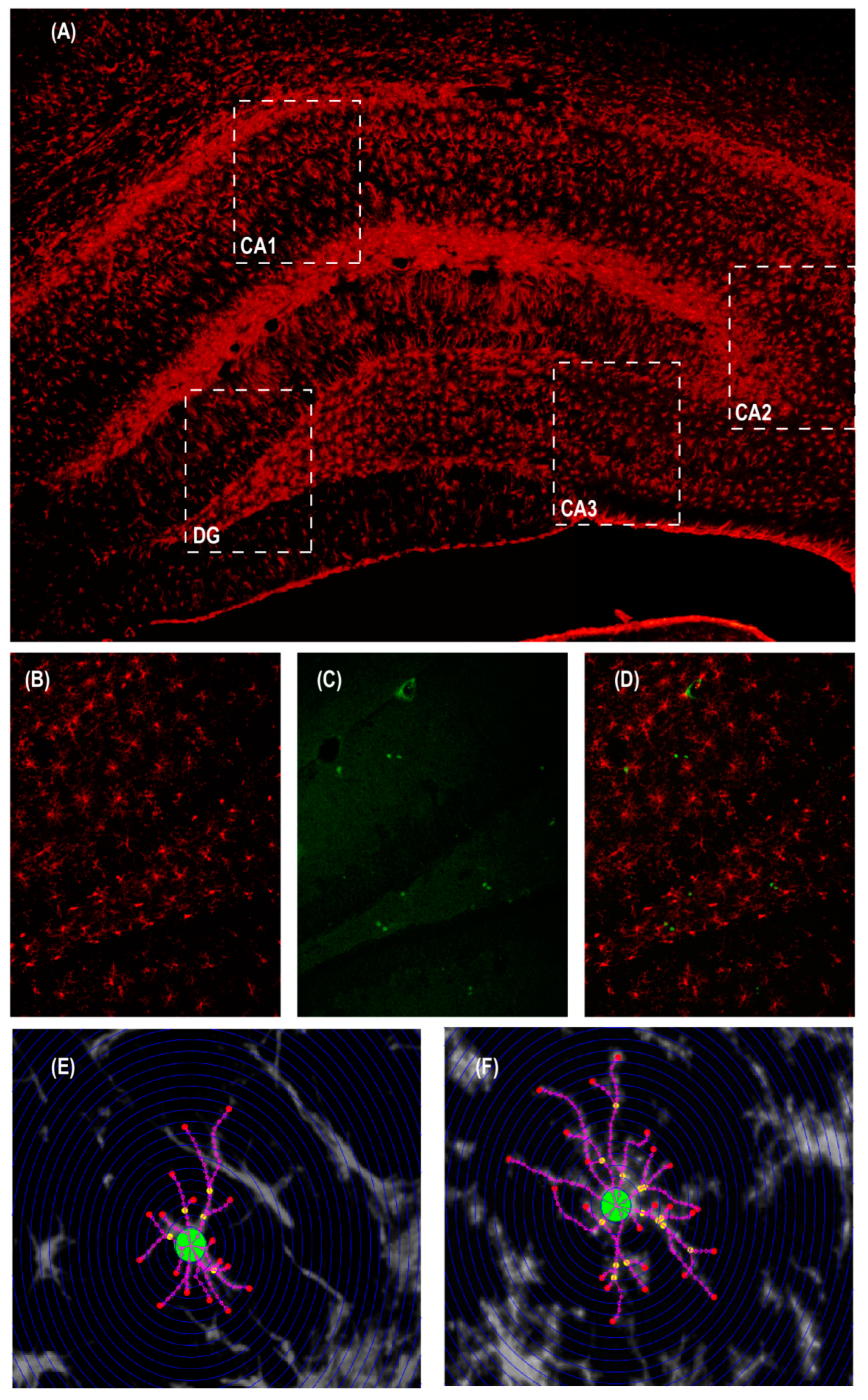 Ijms 24 05520 g007 Ijms 24 05520 g007