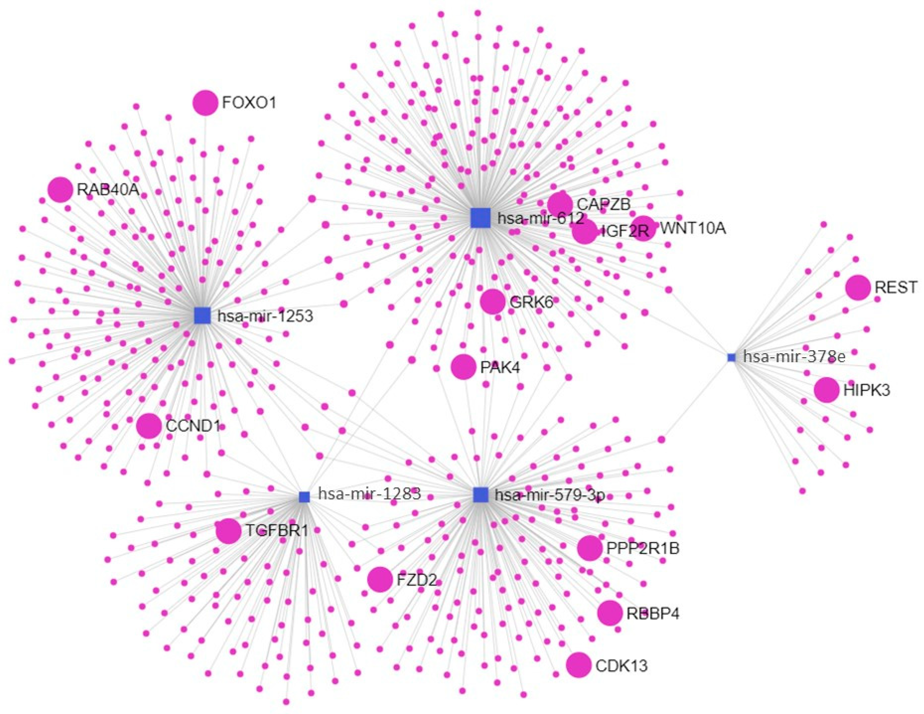 Ijms 24 05527 g002 Ijms 24 05527 g002