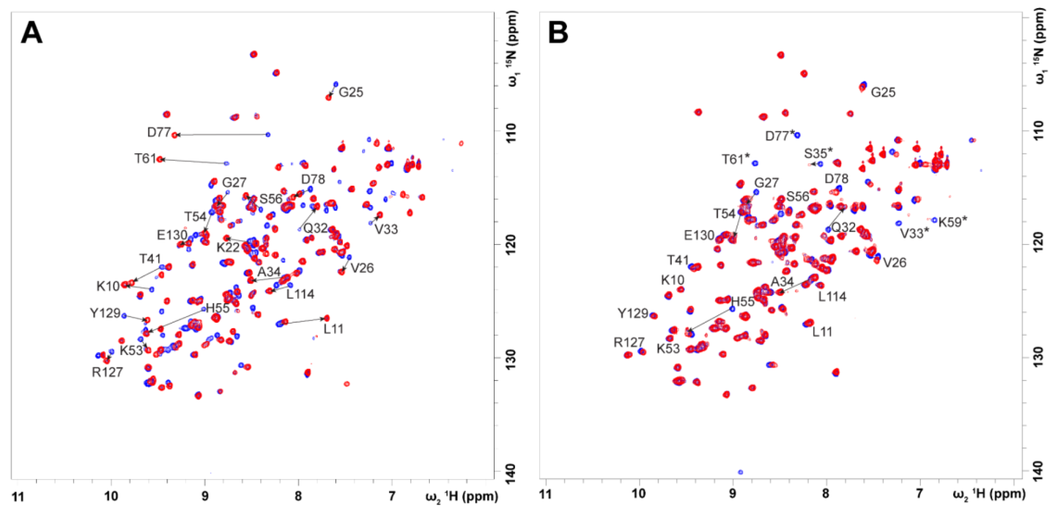 Ijms 24 05528 g004 Ijms 24 05528 g004