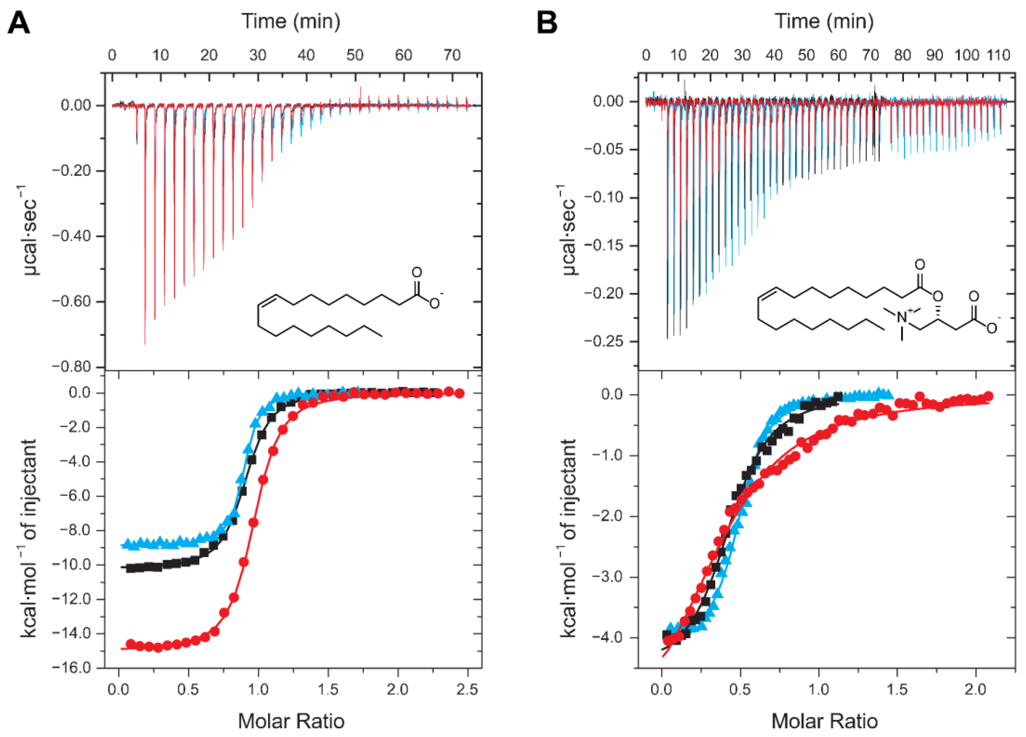 Ijms 24 05528 g007 Ijms 24 05528 g007