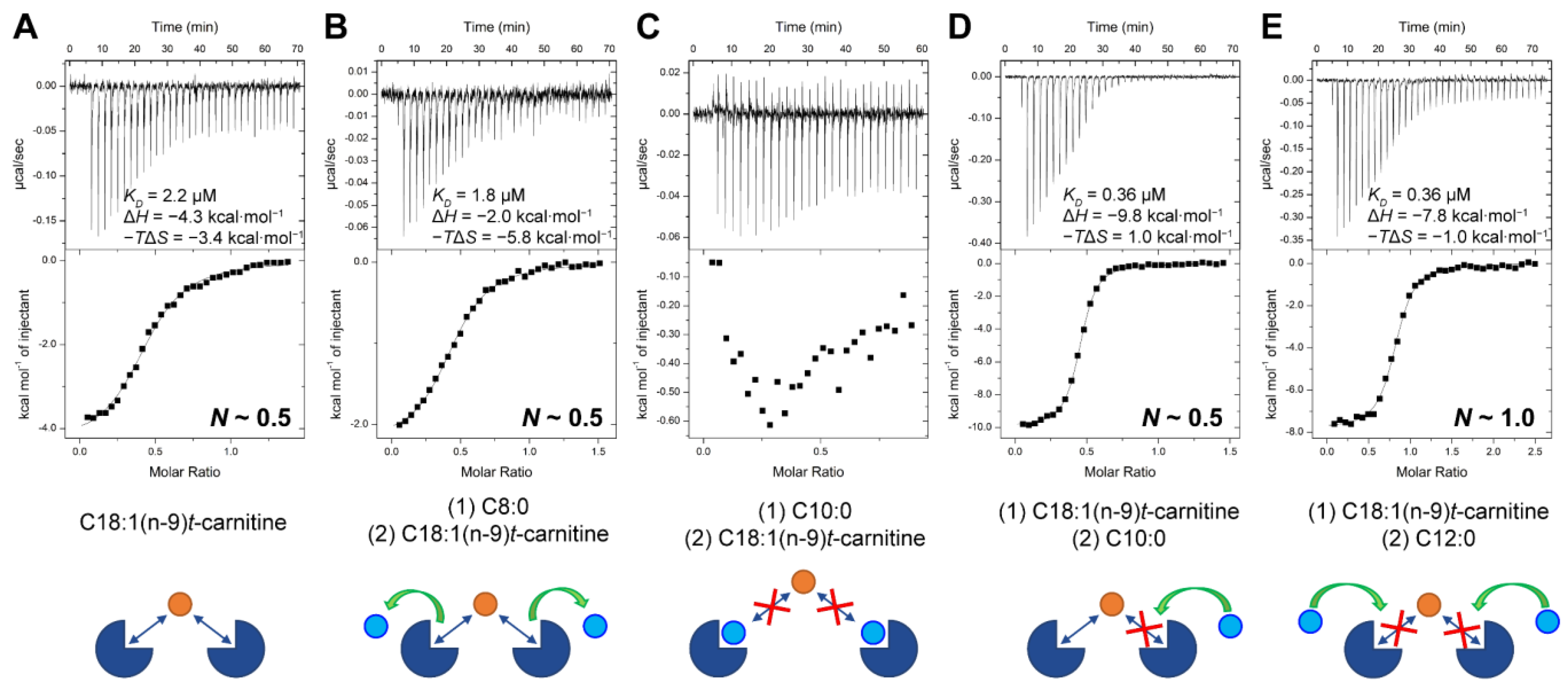 Ijms 24 05528 g009 Ijms 24 05528 g009