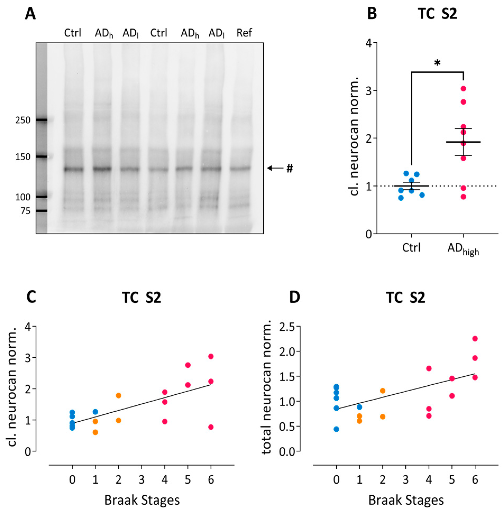 Ijms 24 05532 g002 Ijms 24 05532 g002