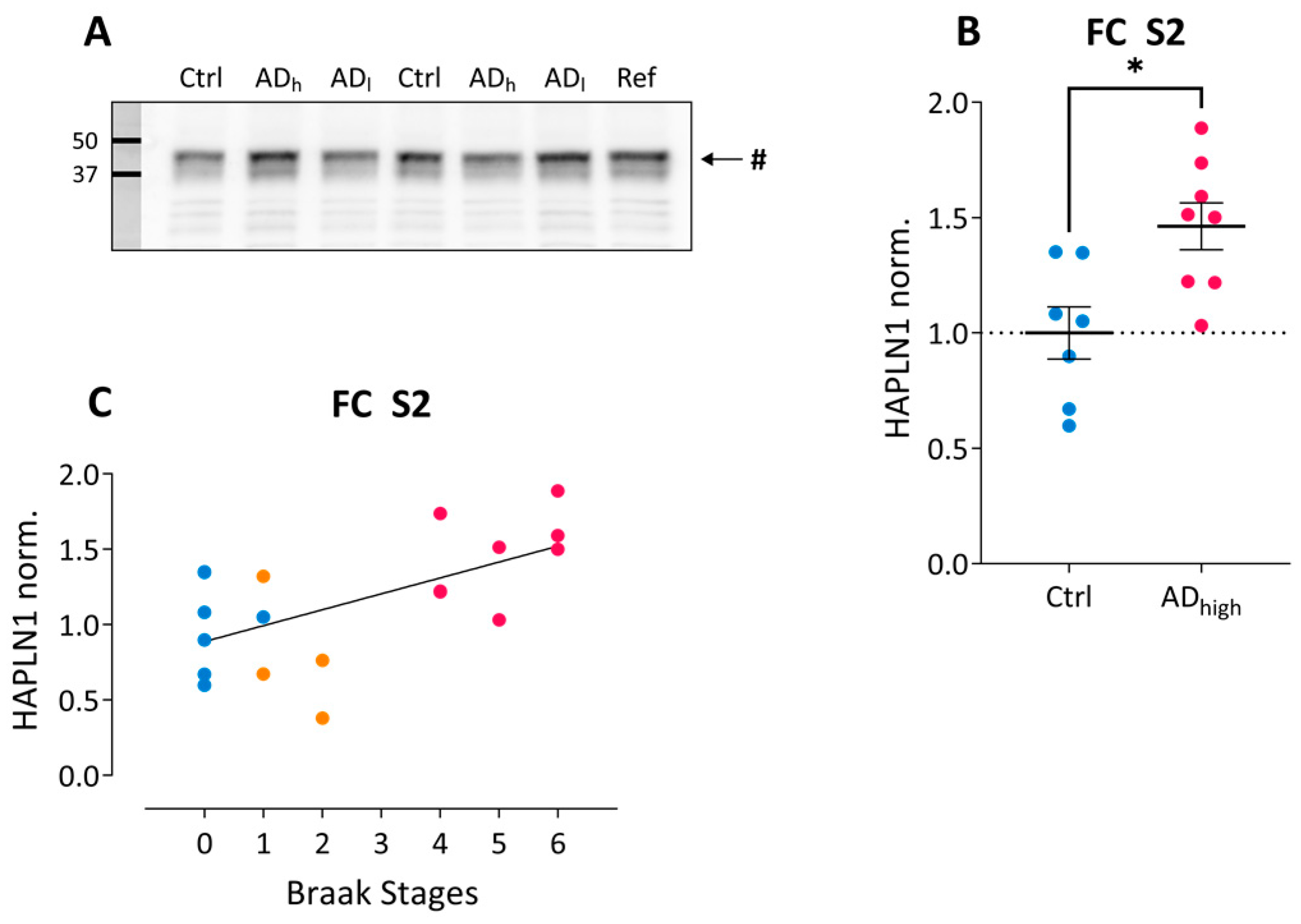 Ijms 24 05532 g003 Ijms 24 05532 g003