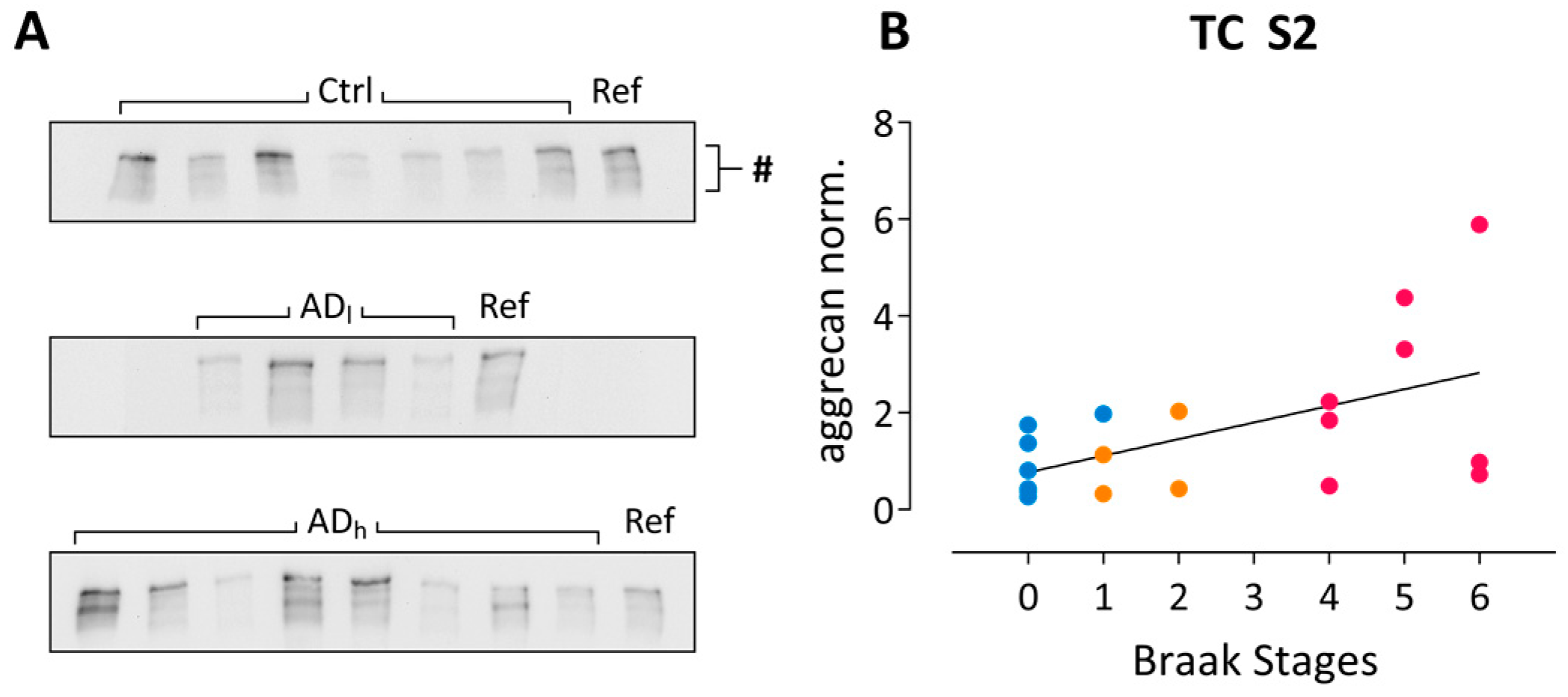 Ijms 24 05532 g004 Ijms 24 05532 g004