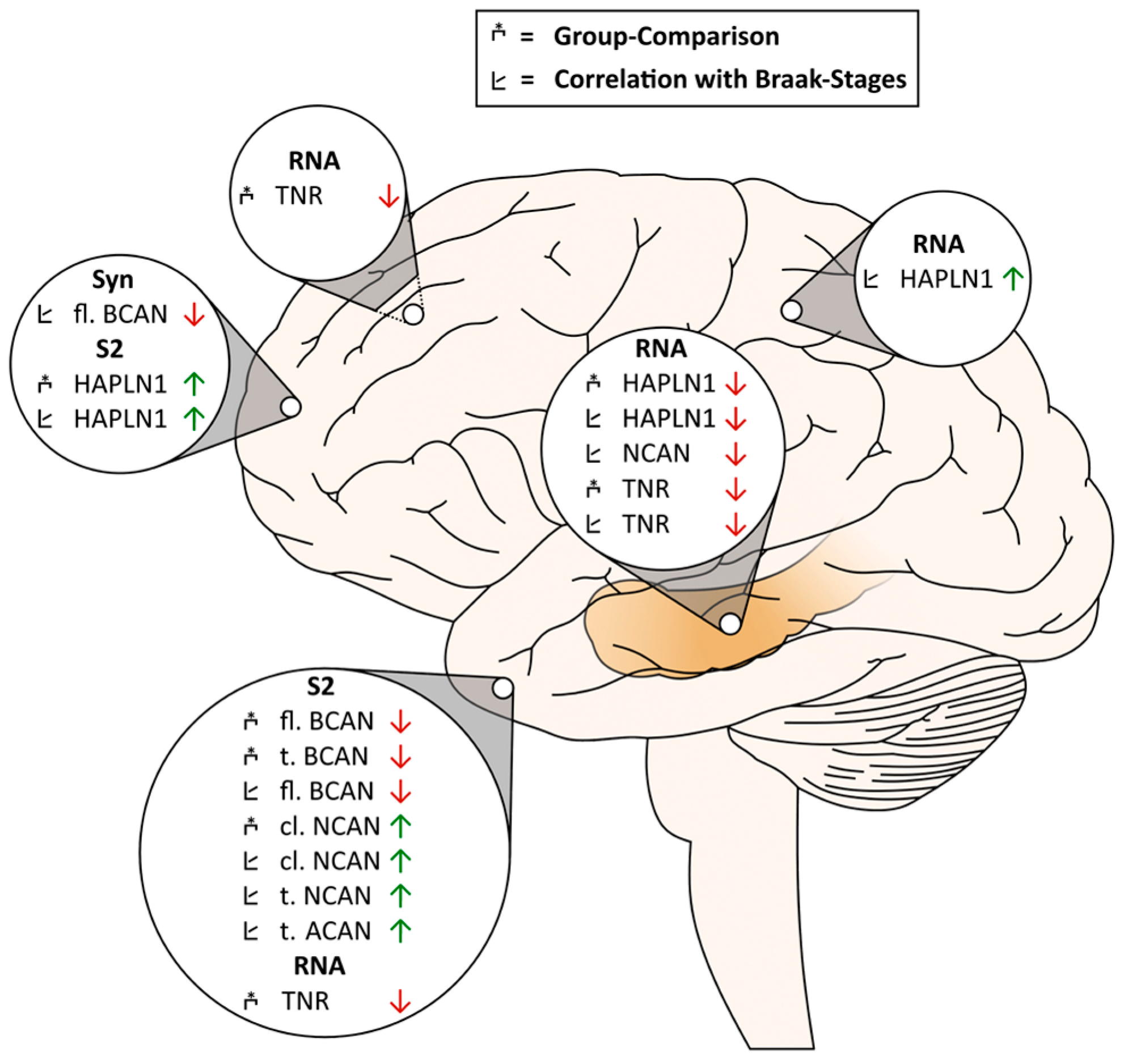 Ijms 24 05532 g008 Ijms 24 05532 g008