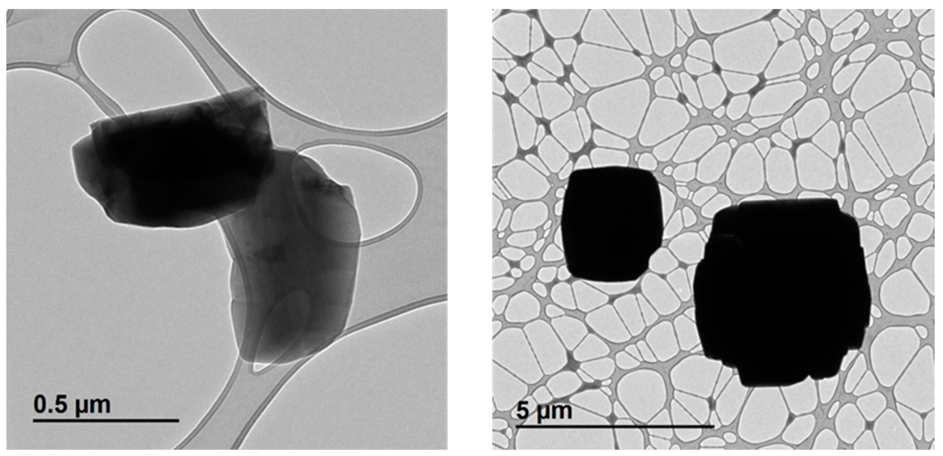 Ijms 24 05546 g004 Ijms 24 05546 g004