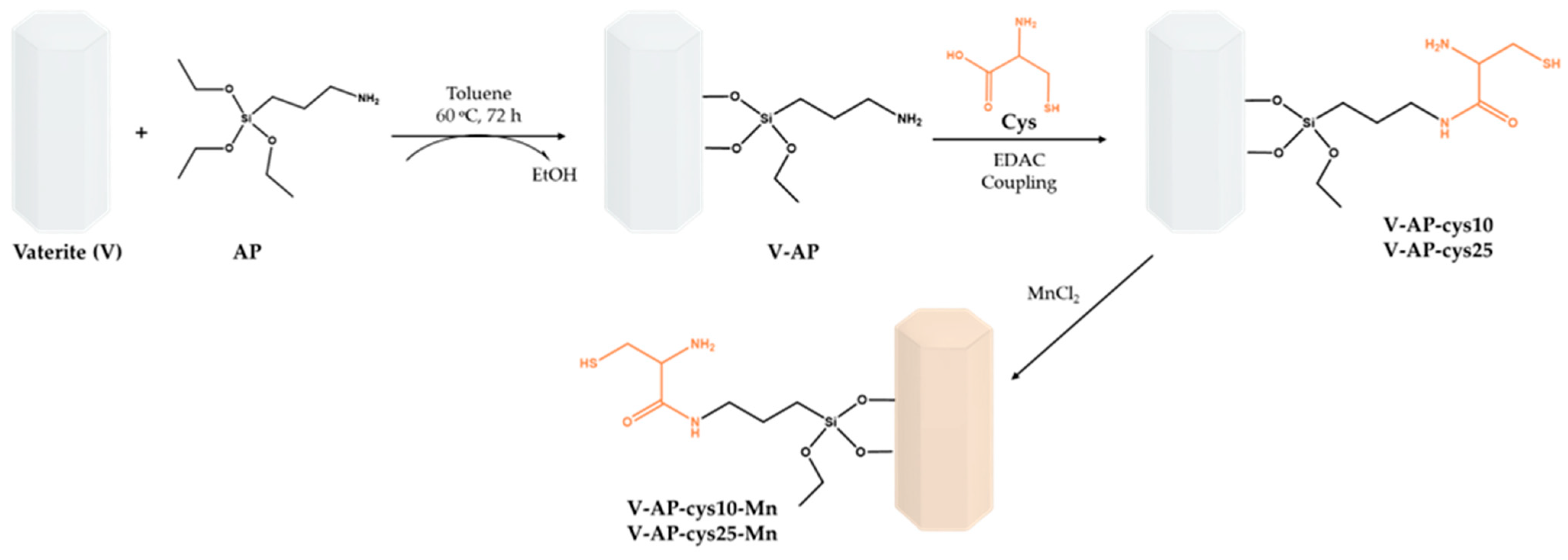 Ijms 24 05546 sch001 Ijms 24 05546 sch001