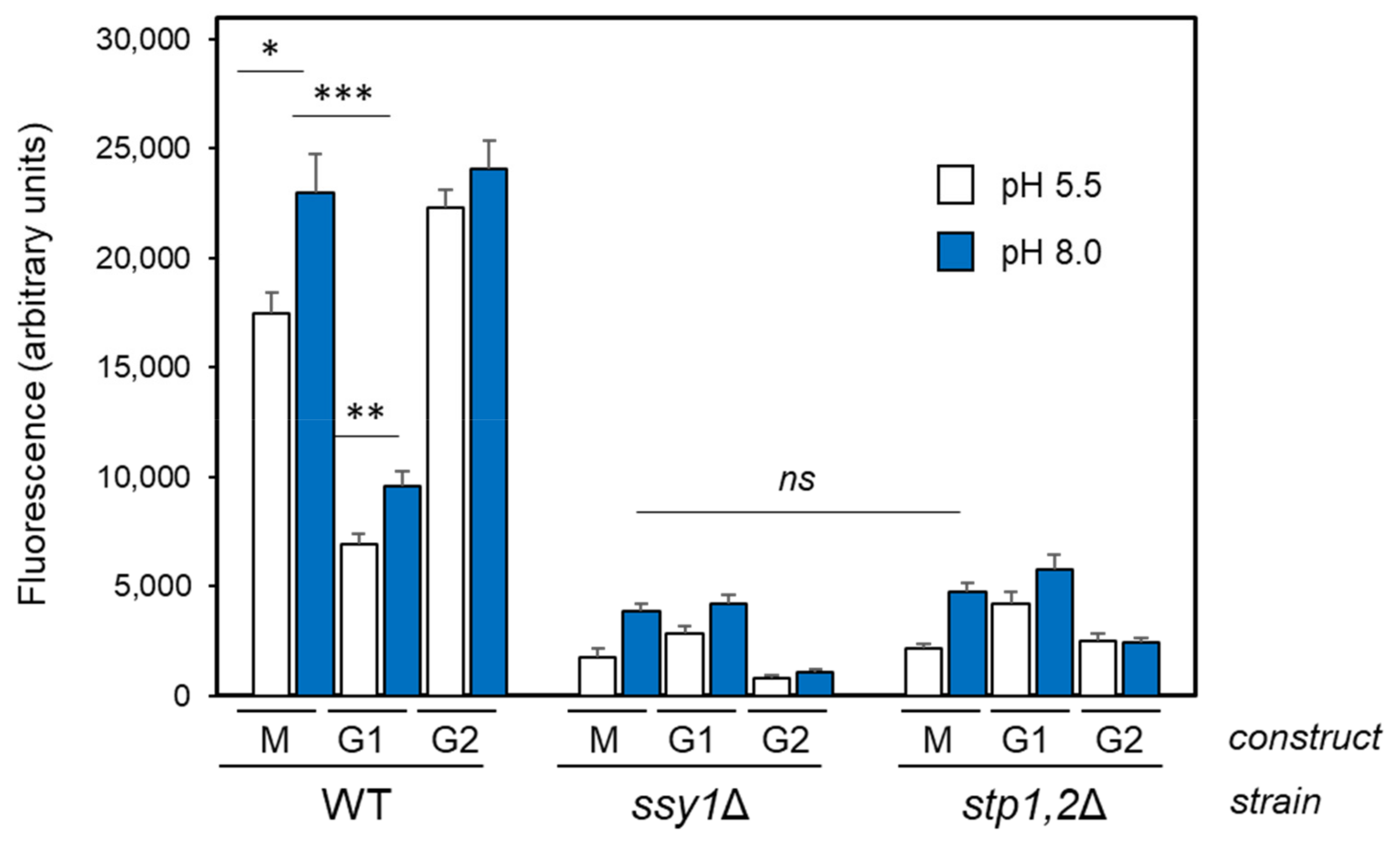 Ijms 24 05548 g005 Ijms 24 05548 g005
