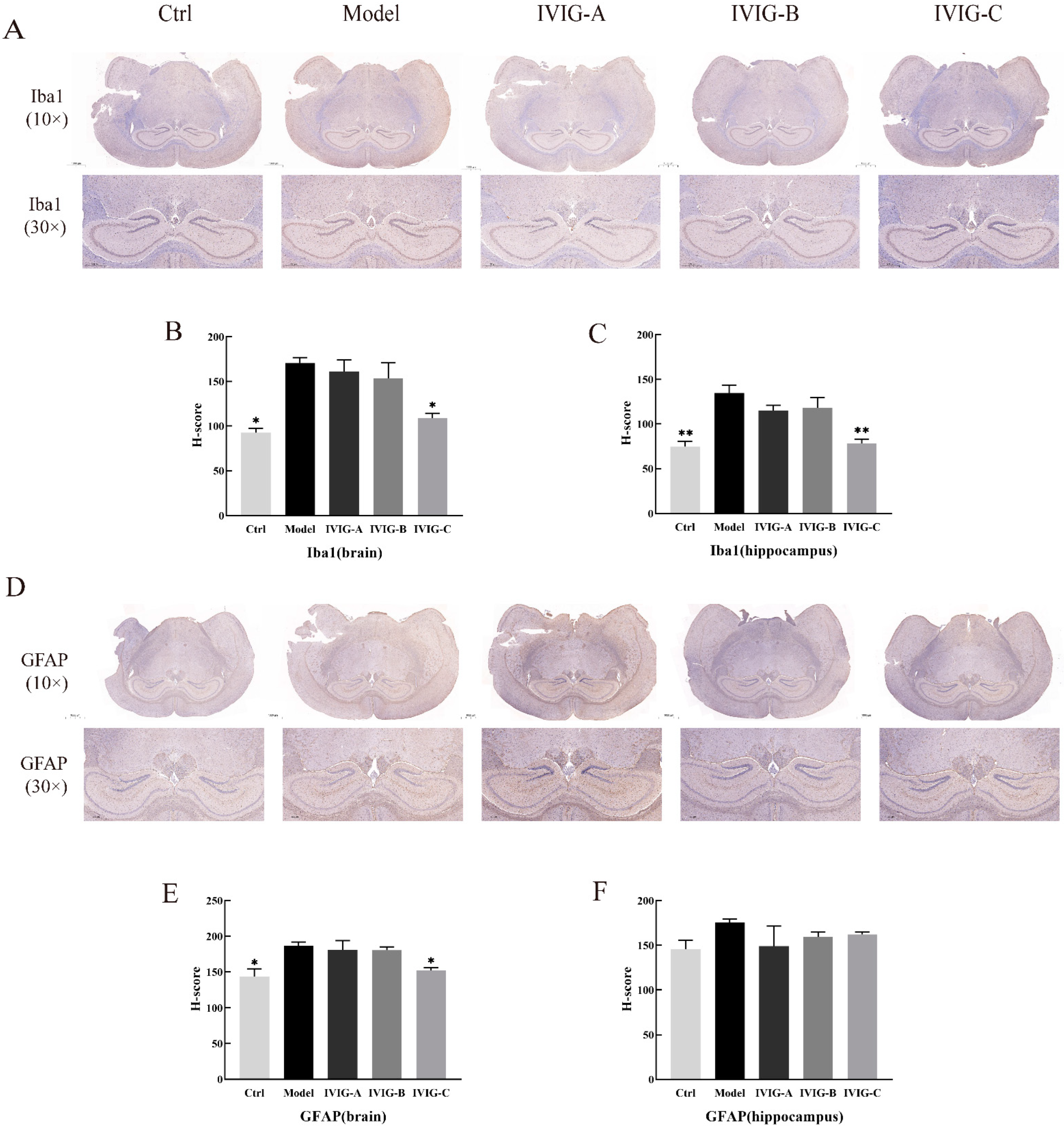 Ijms 24 05549 g004 Ijms 24 05549 g004