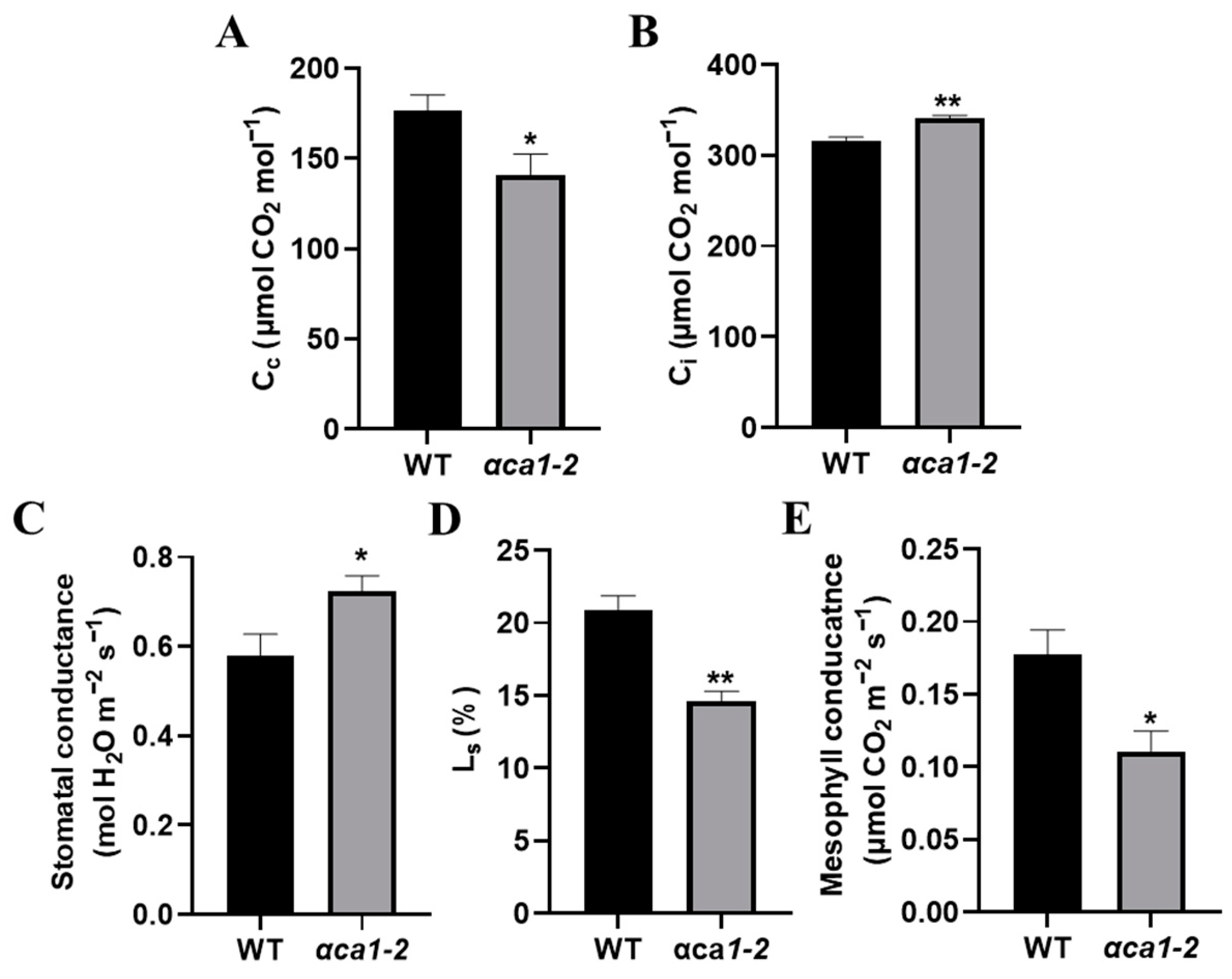 Ijms 24 05560 g005 Ijms 24 05560 g005