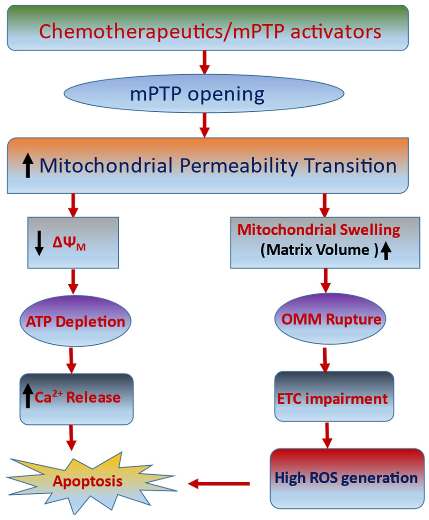 Ijms 24 05564 g002 Ijms 24 05564 g002