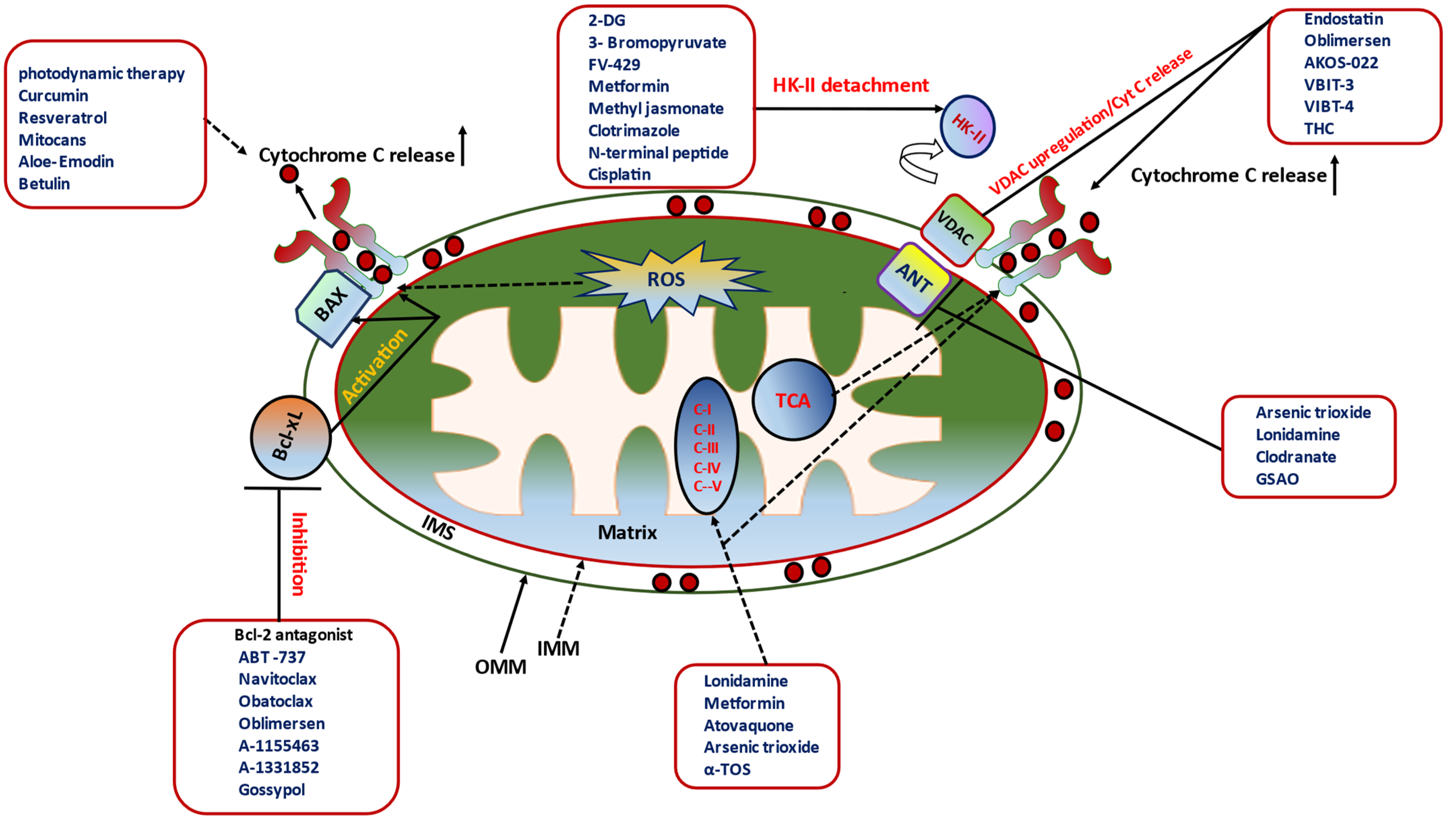 Ijms 24 05564 g004 Ijms 24 05564 g004