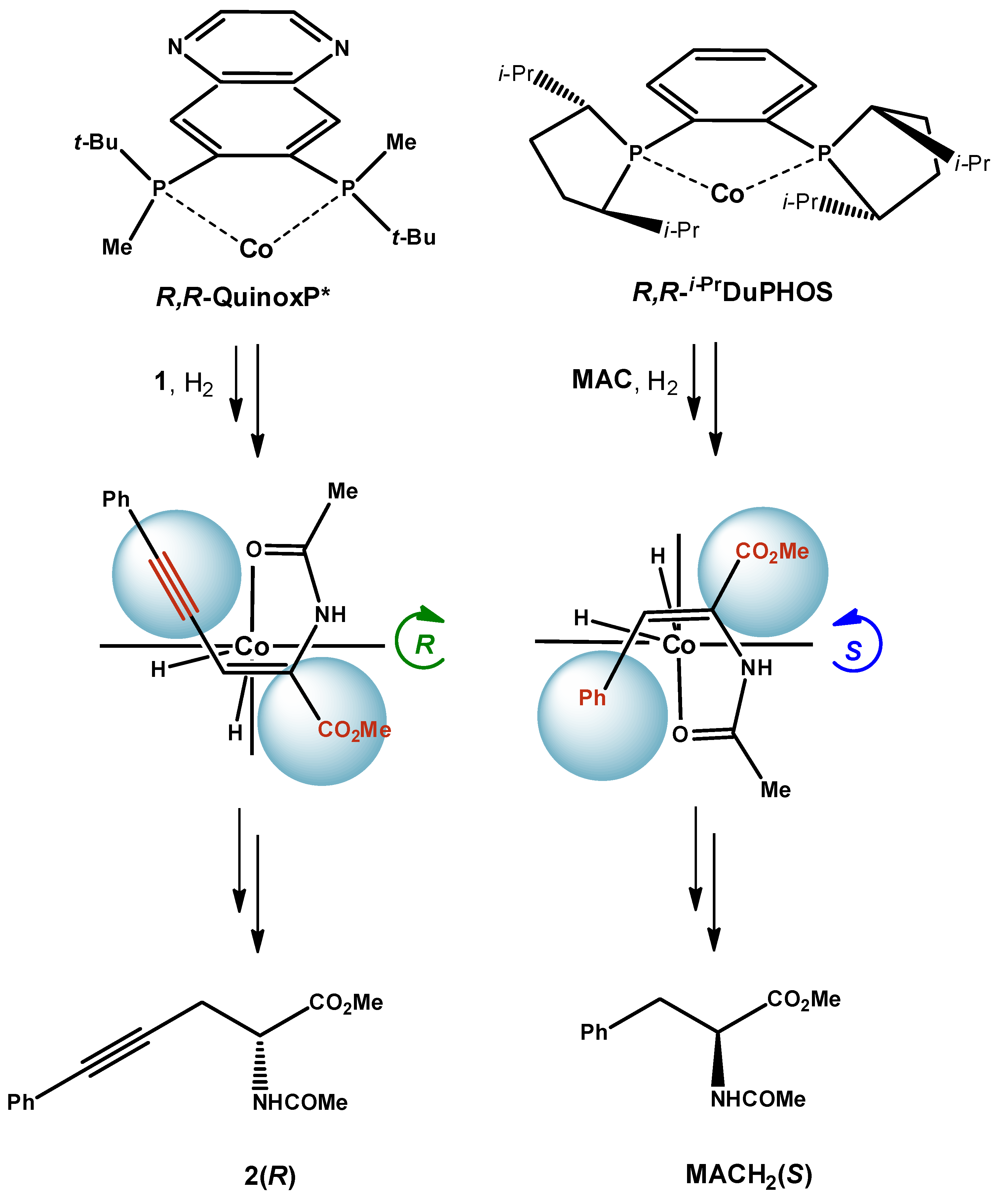 Ijms 24 05568 g006 Ijms 24 05568 g006
