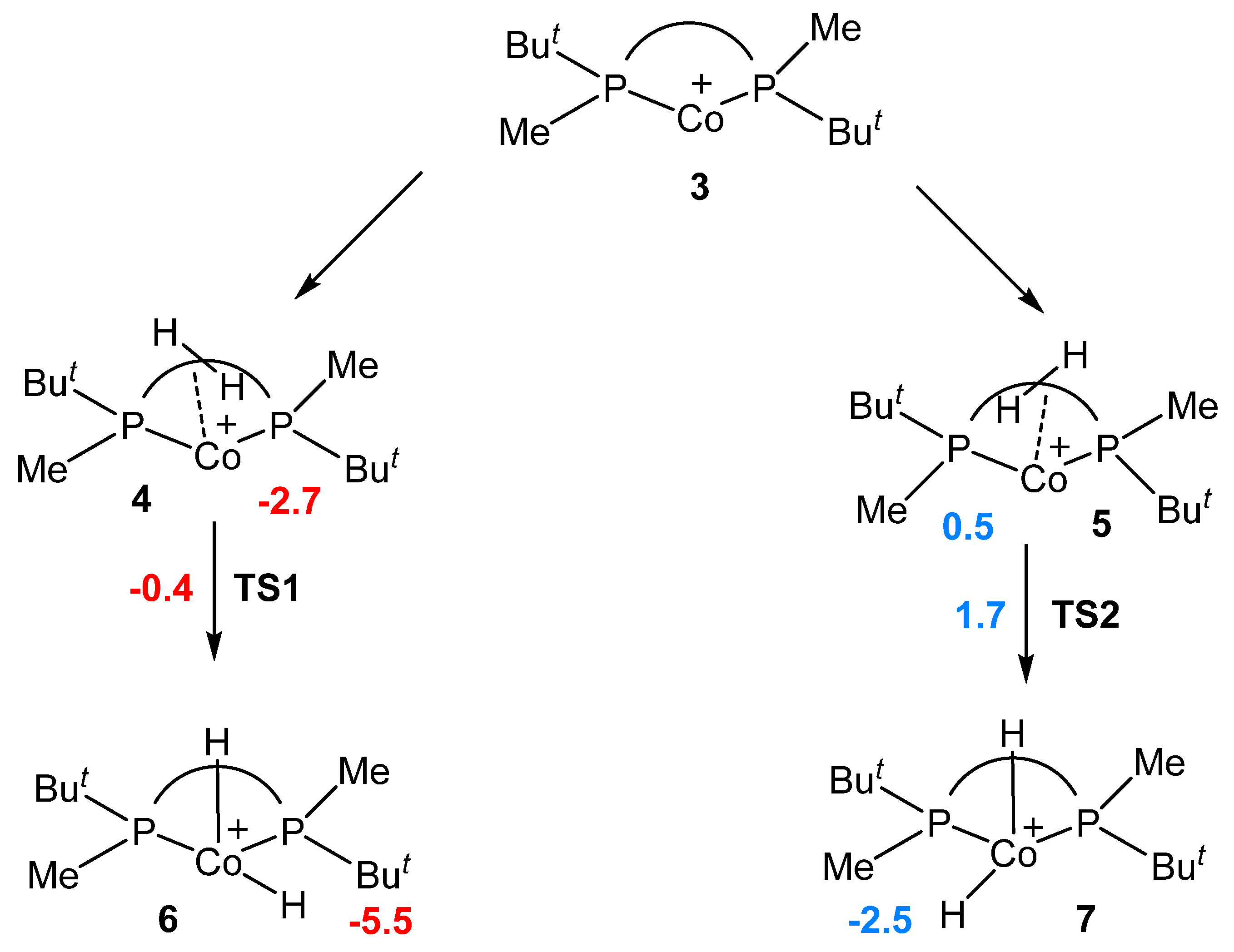 Ijms 24 05568 sch002 Ijms 24 05568 sch002