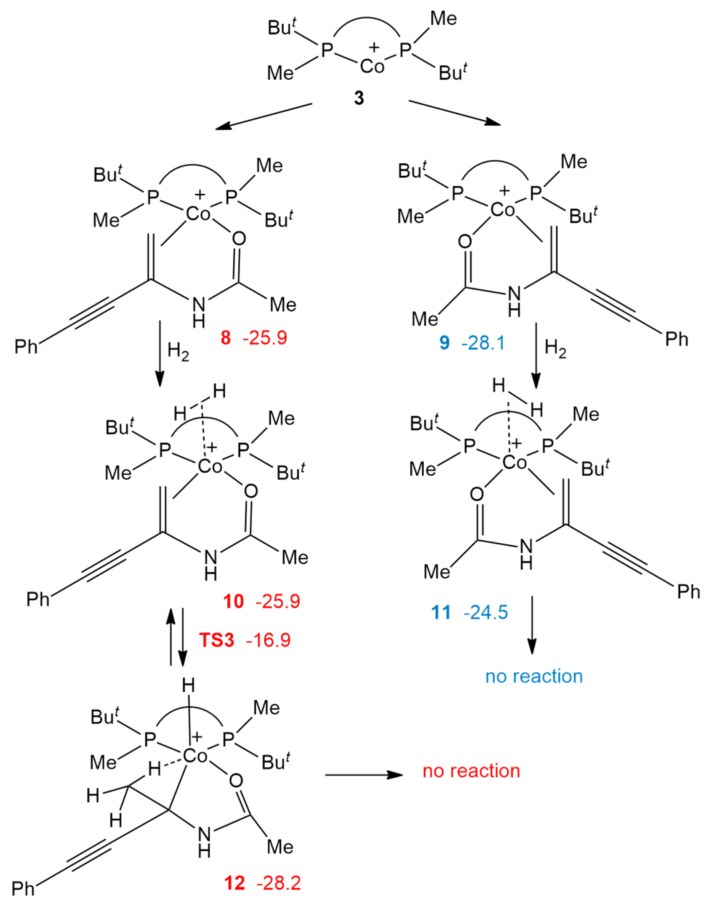 Ijms 24 05568 sch003 Ijms 24 05568 sch003