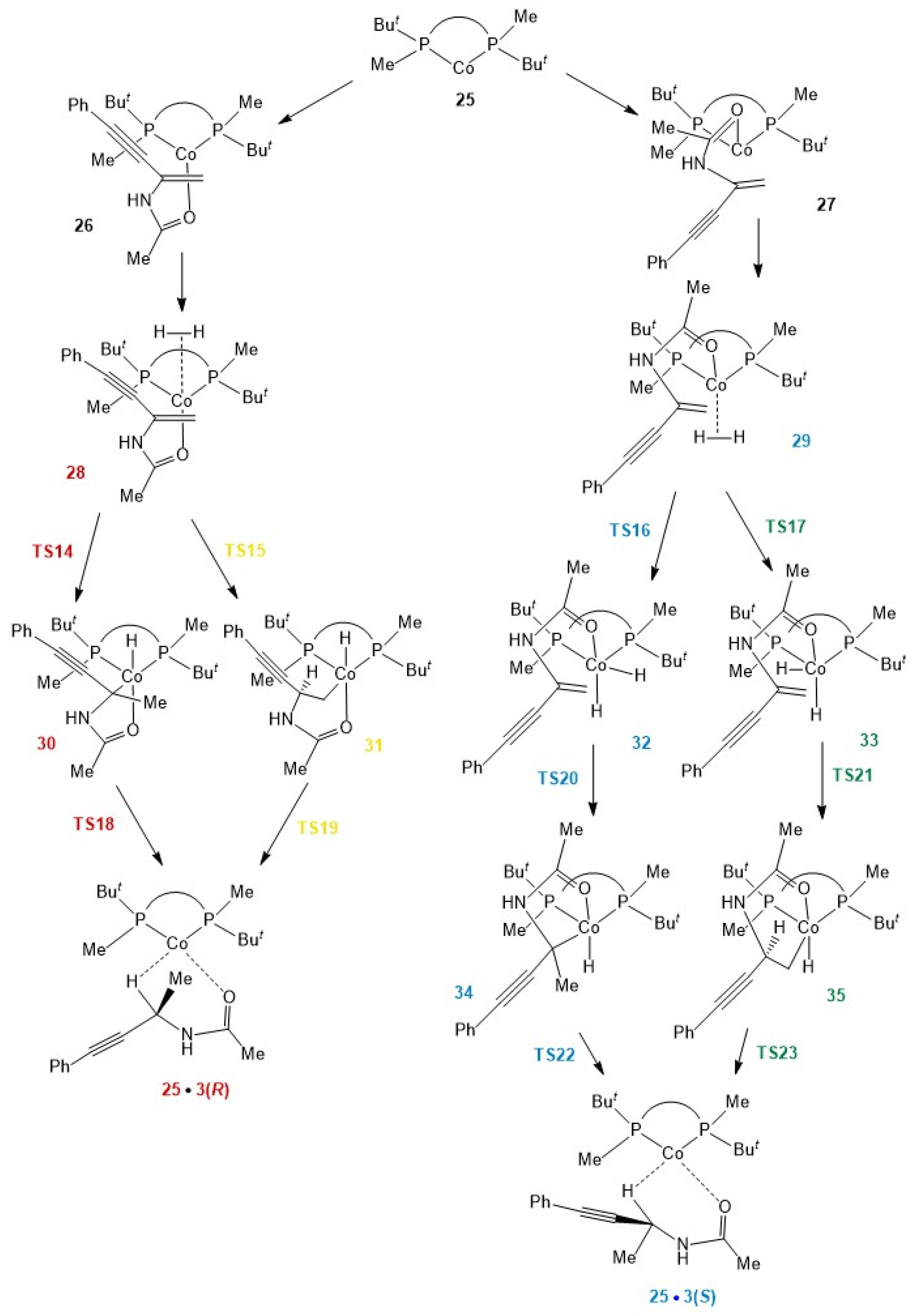 Ijms 24 05568 sch005 Ijms 24 05568 sch005