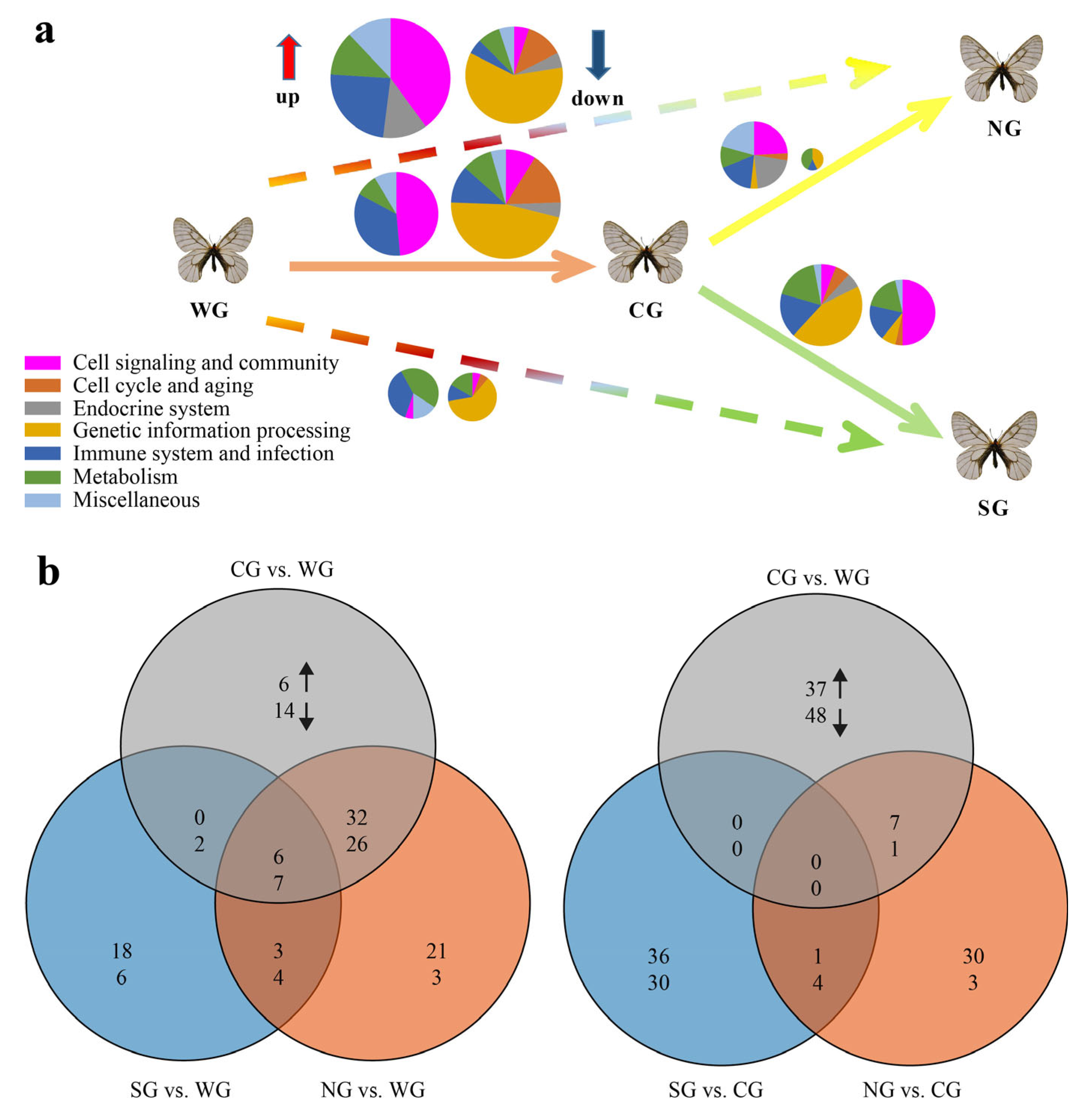 Ijms 24 05577 g003 Ijms 24 05577 g003