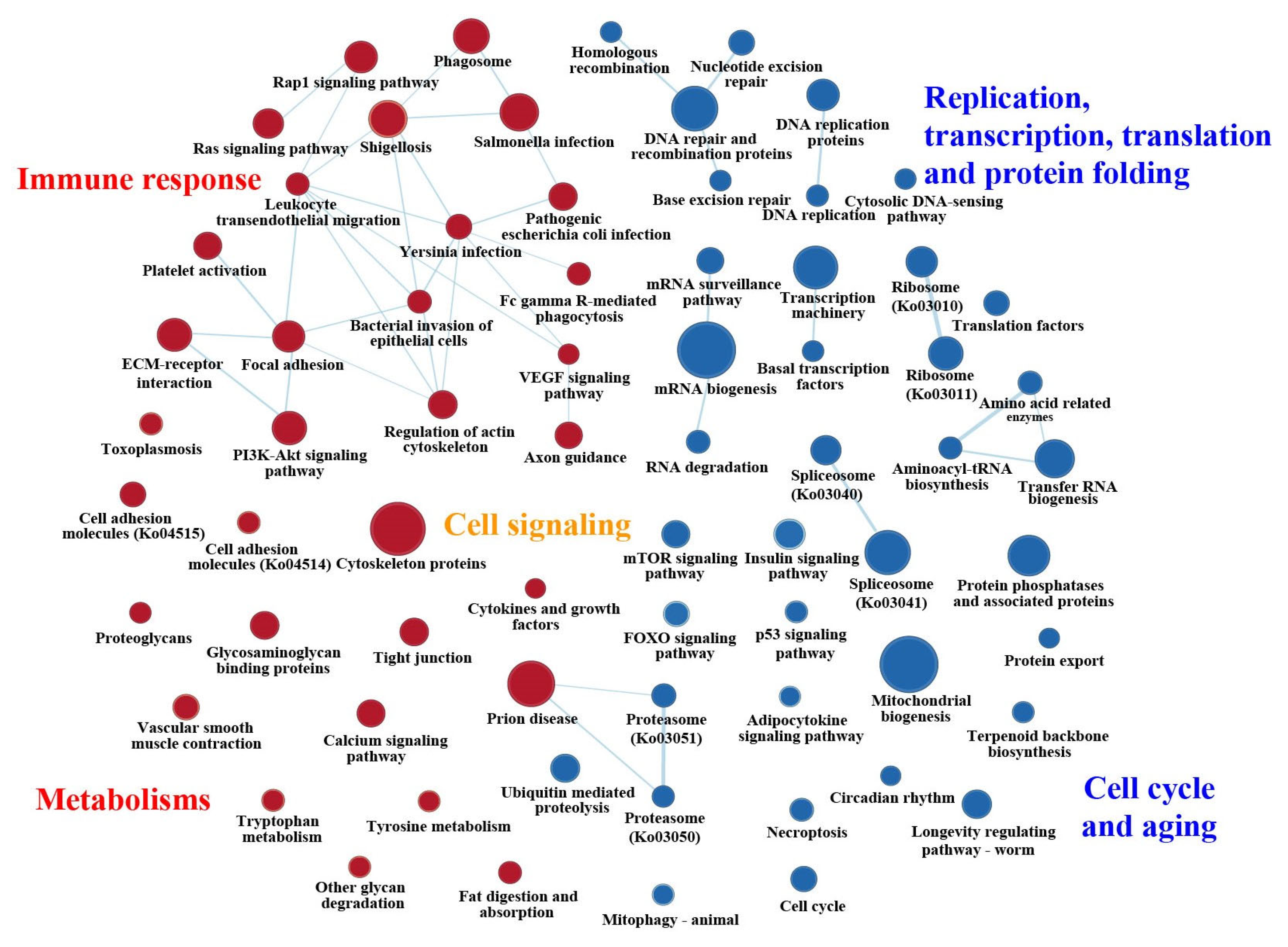 Ijms 24 05577 g004 Ijms 24 05577 g004