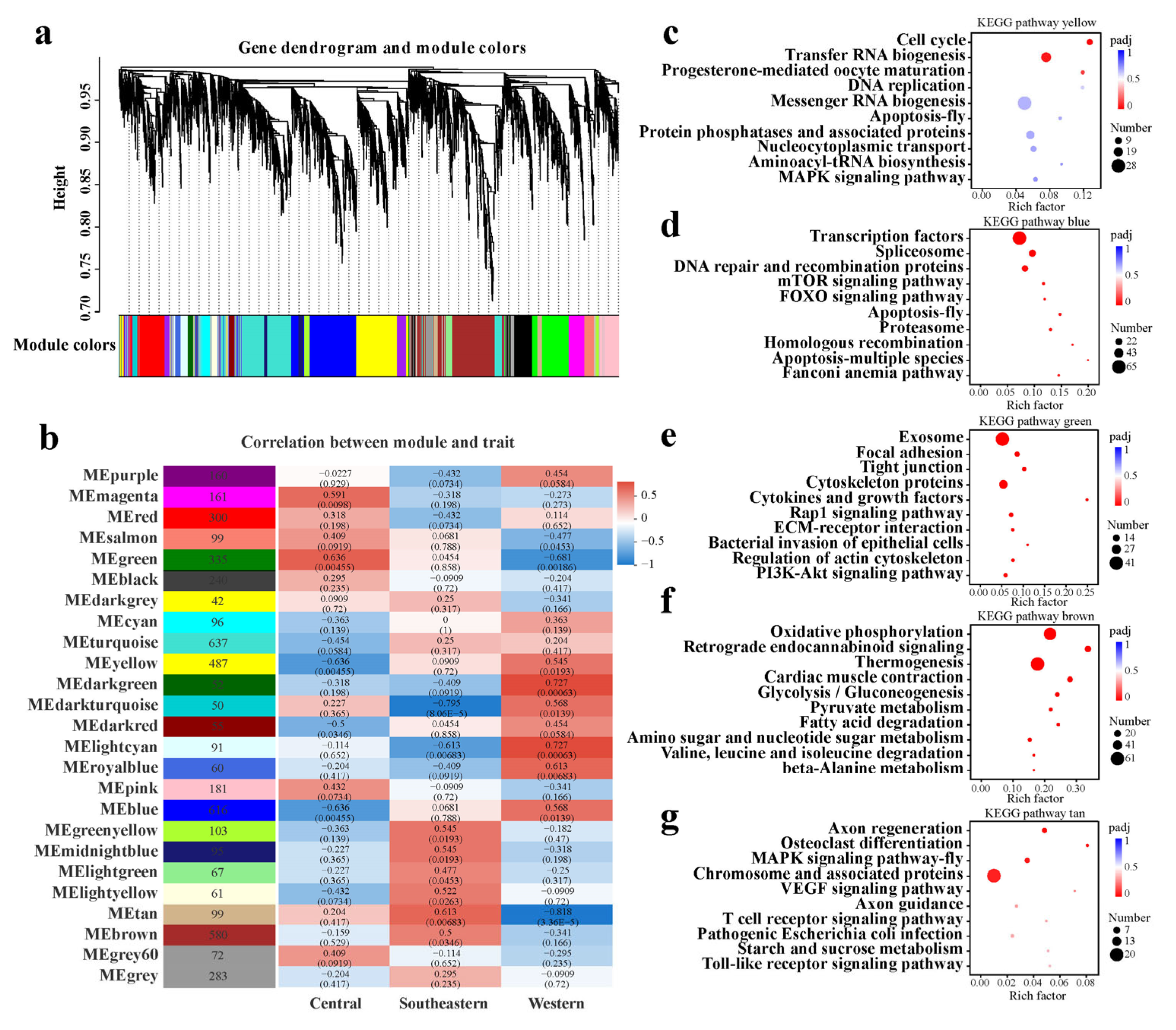 Ijms 24 05577 g008 Ijms 24 05577 g008