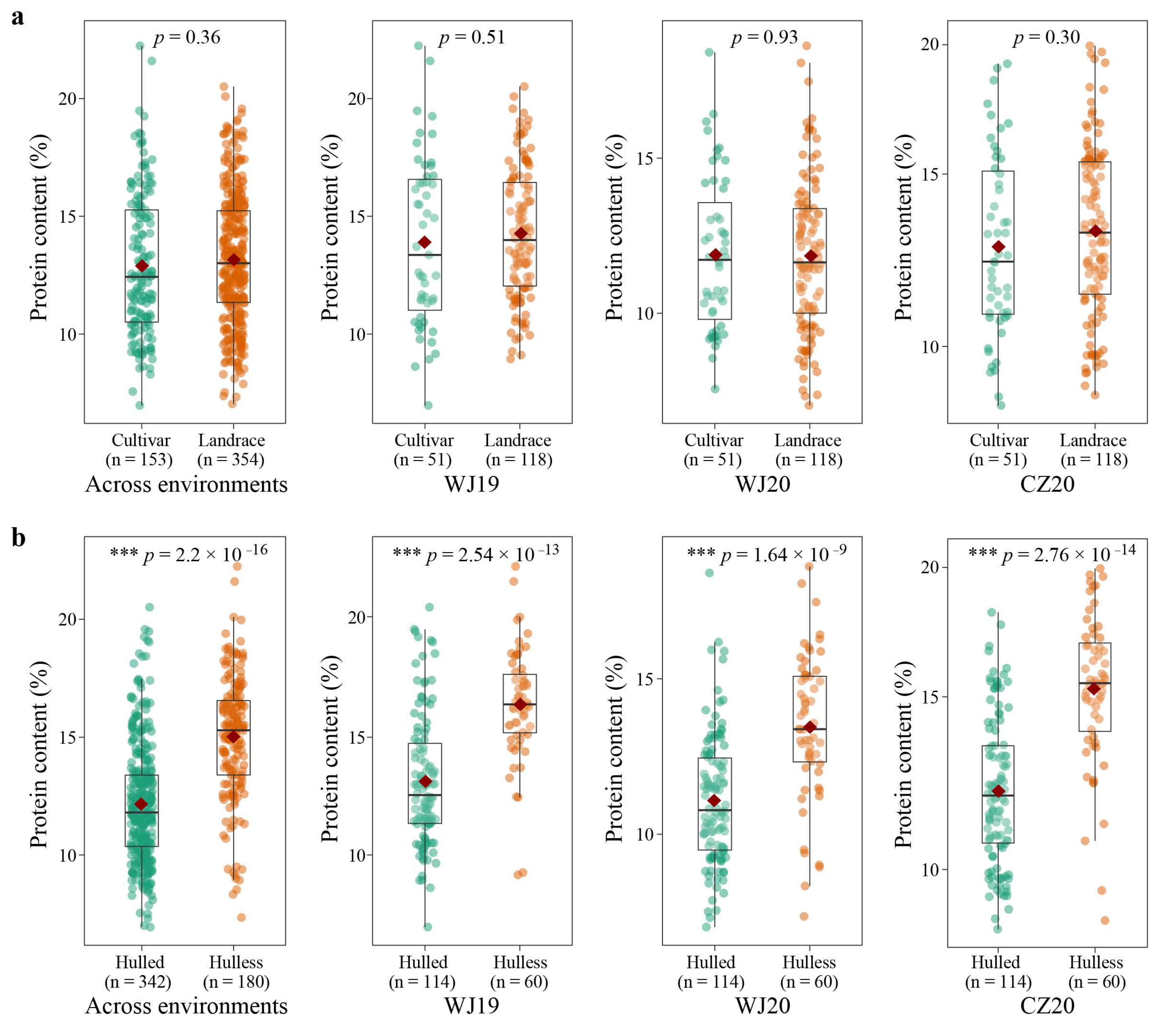Ijms 24 05581 g002 Ijms 24 05581 g002