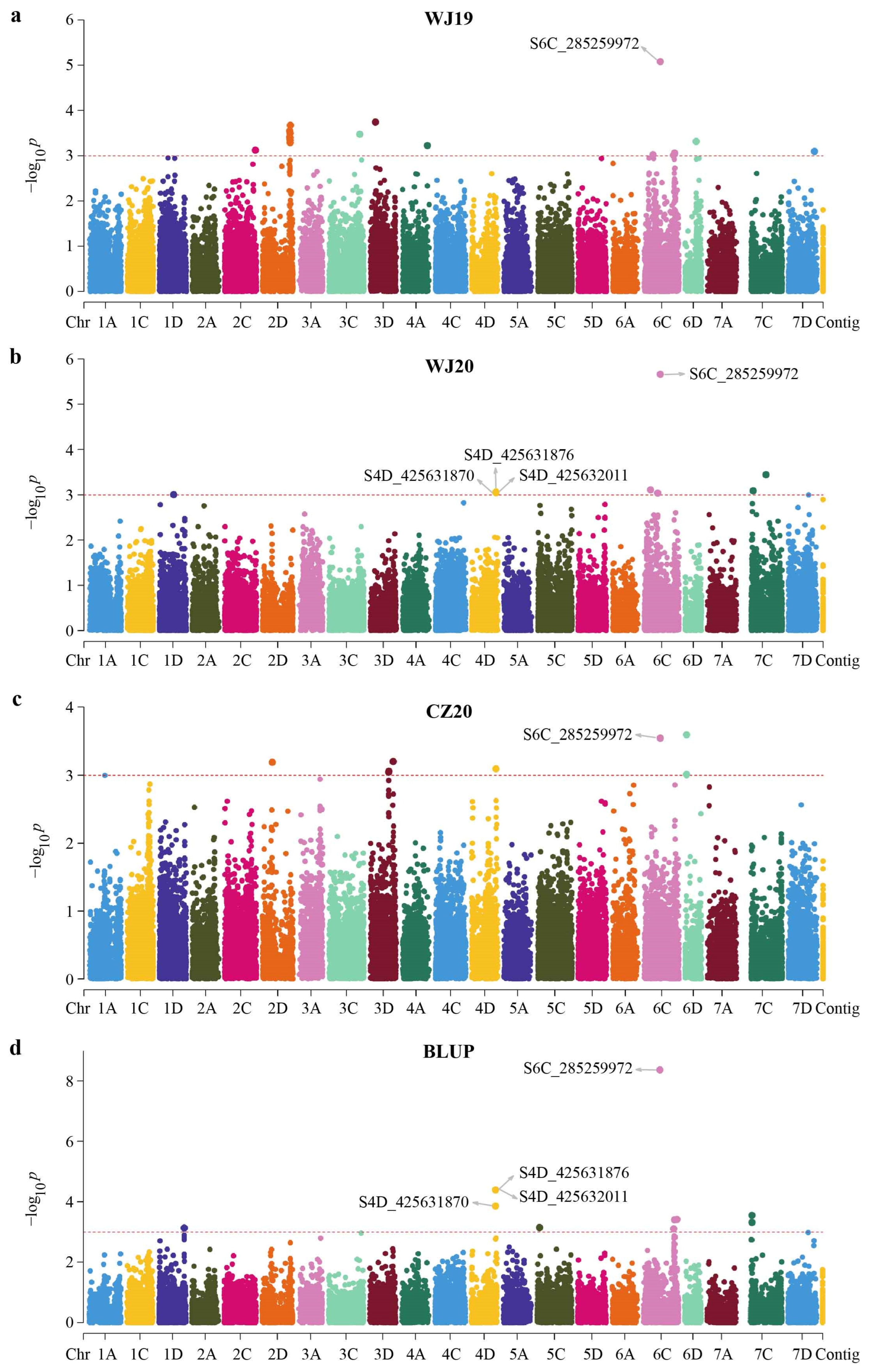 Ijms 24 05581 g003 Ijms 24 05581 g003