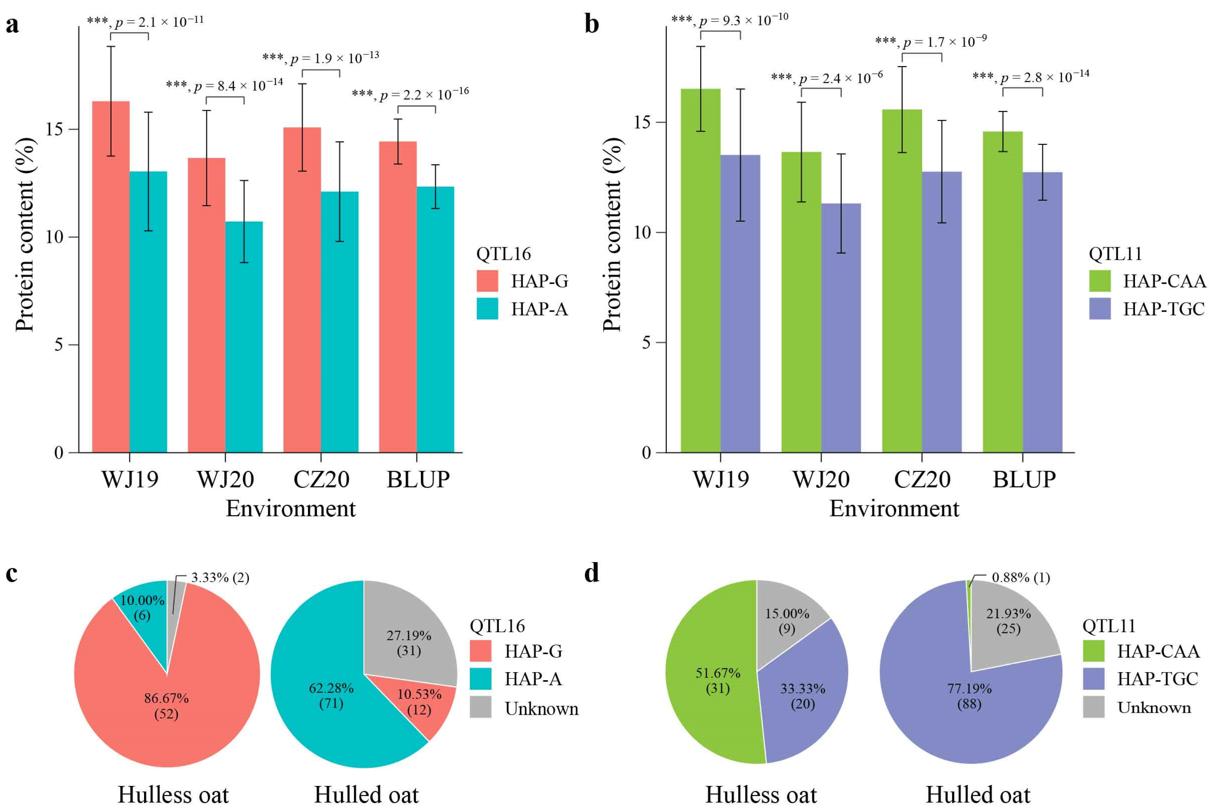 Ijms 24 05581 g005 Ijms 24 05581 g005