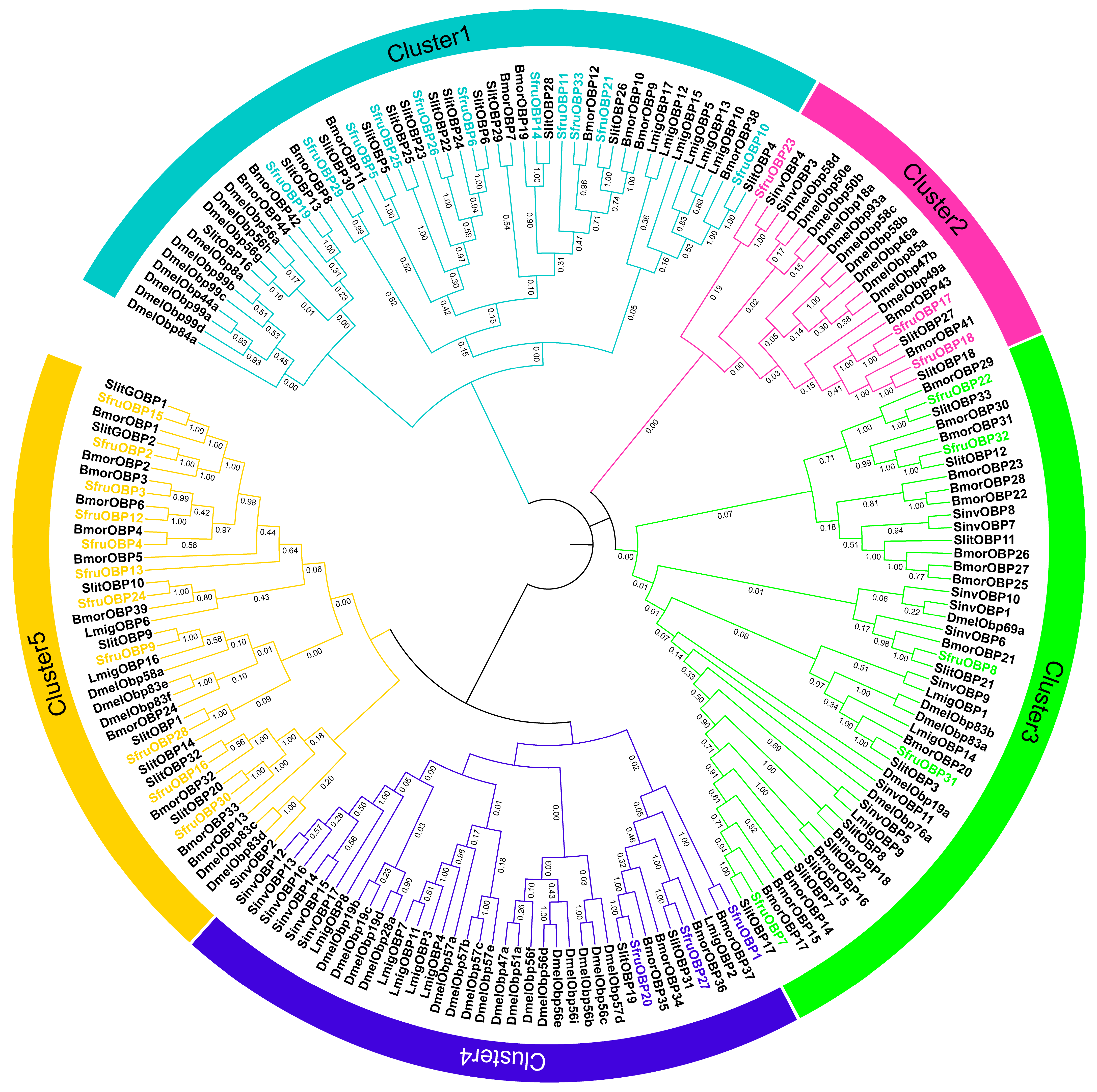 Ijms 24 05595 g001 Ijms 24 05595 g001