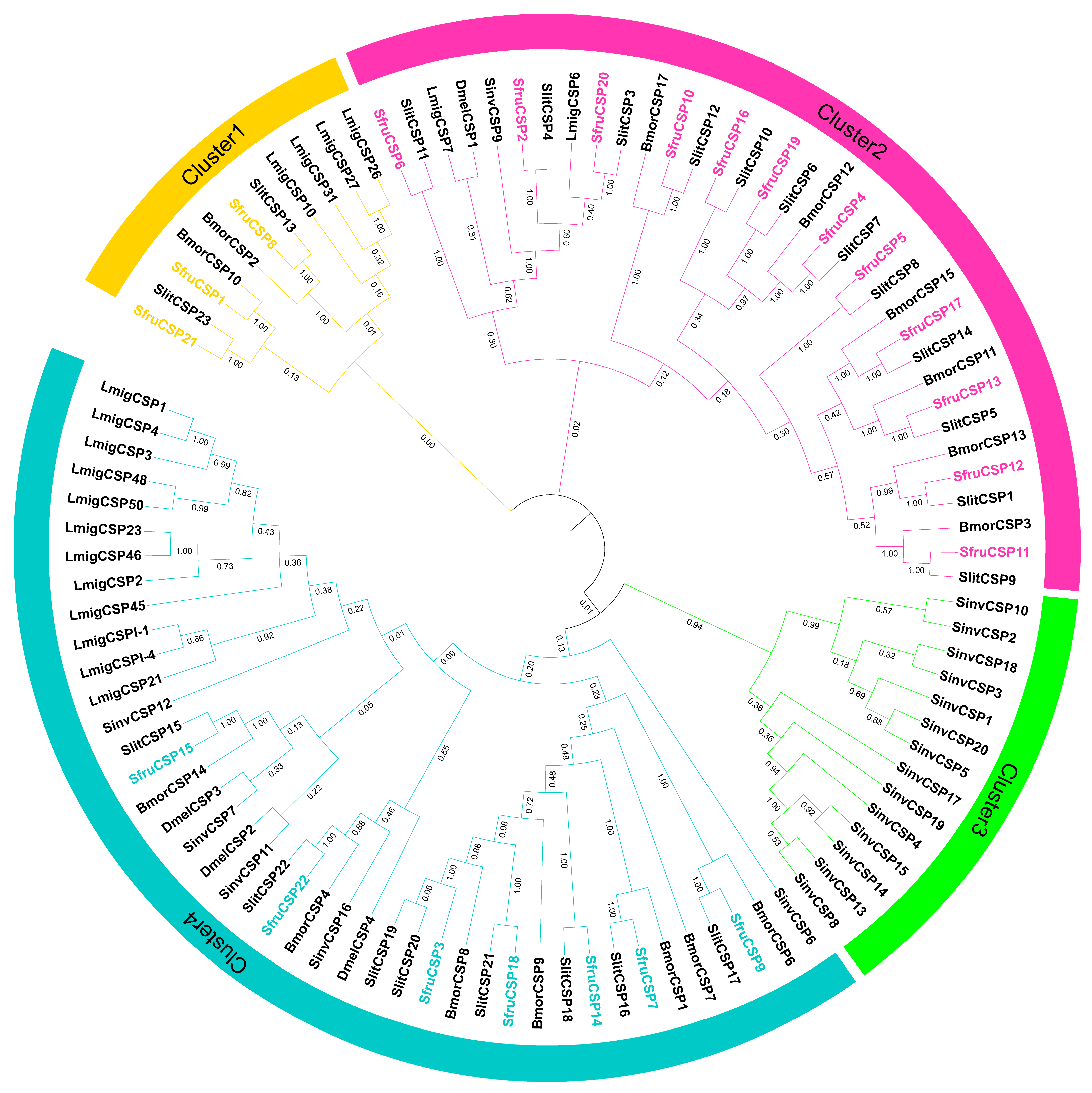 Ijms 24 05595 g002 Ijms 24 05595 g002