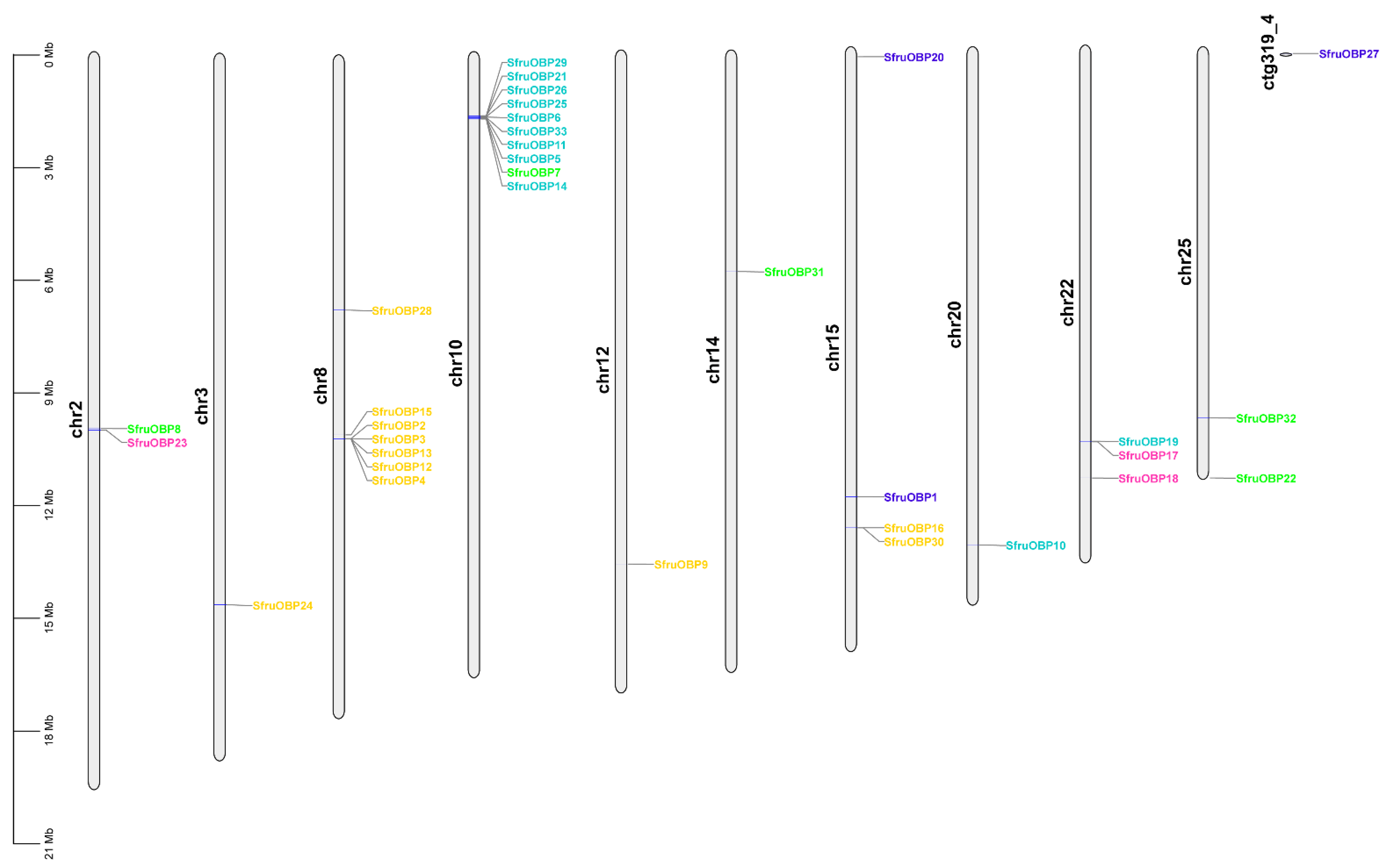 Ijms 24 05595 g003 Ijms 24 05595 g003