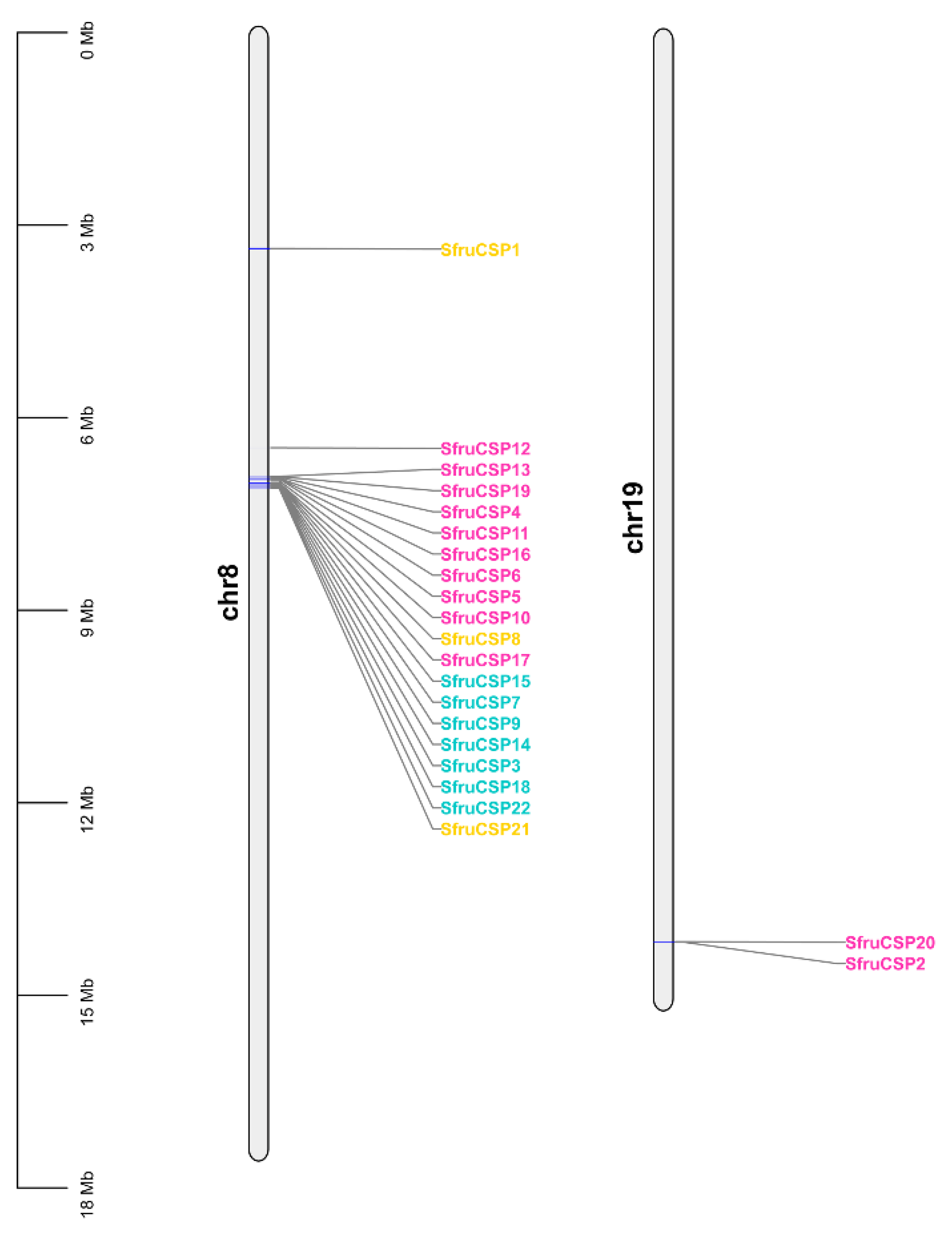 Ijms 24 05595 g004 Ijms 24 05595 g004