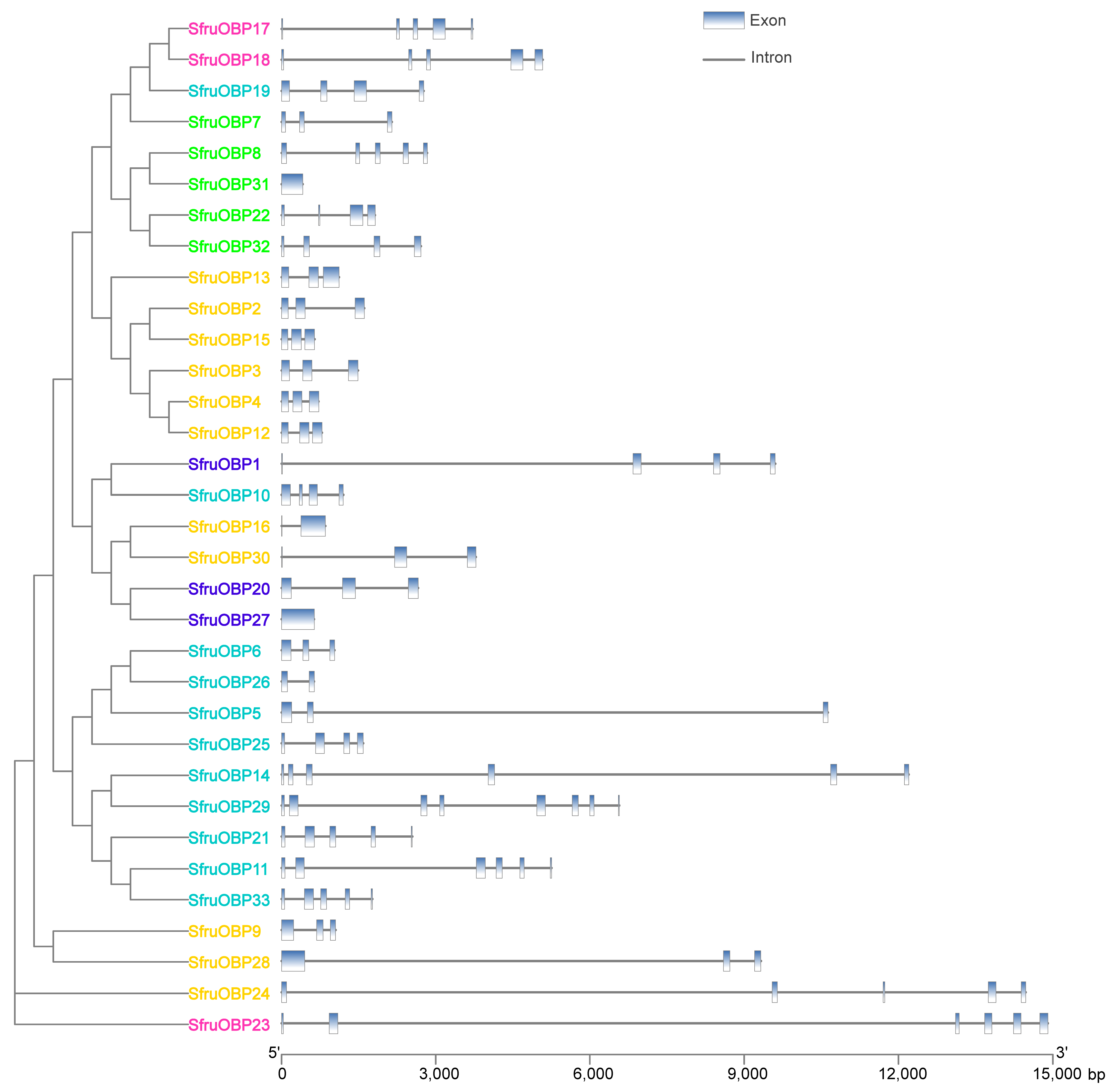 Ijms 24 05595 g005 Ijms 24 05595 g005