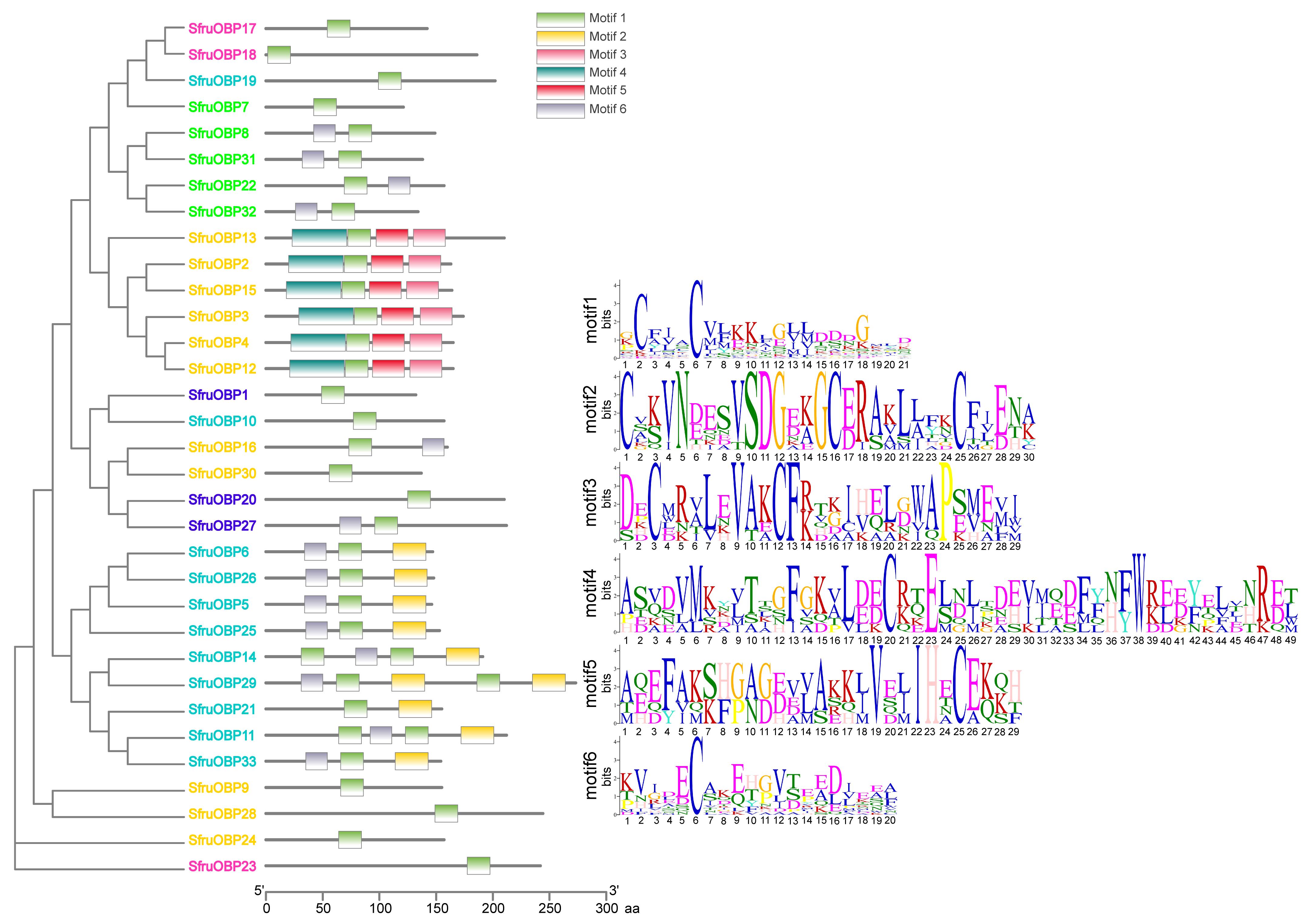 Ijms 24 05595 g007 Ijms 24 05595 g007