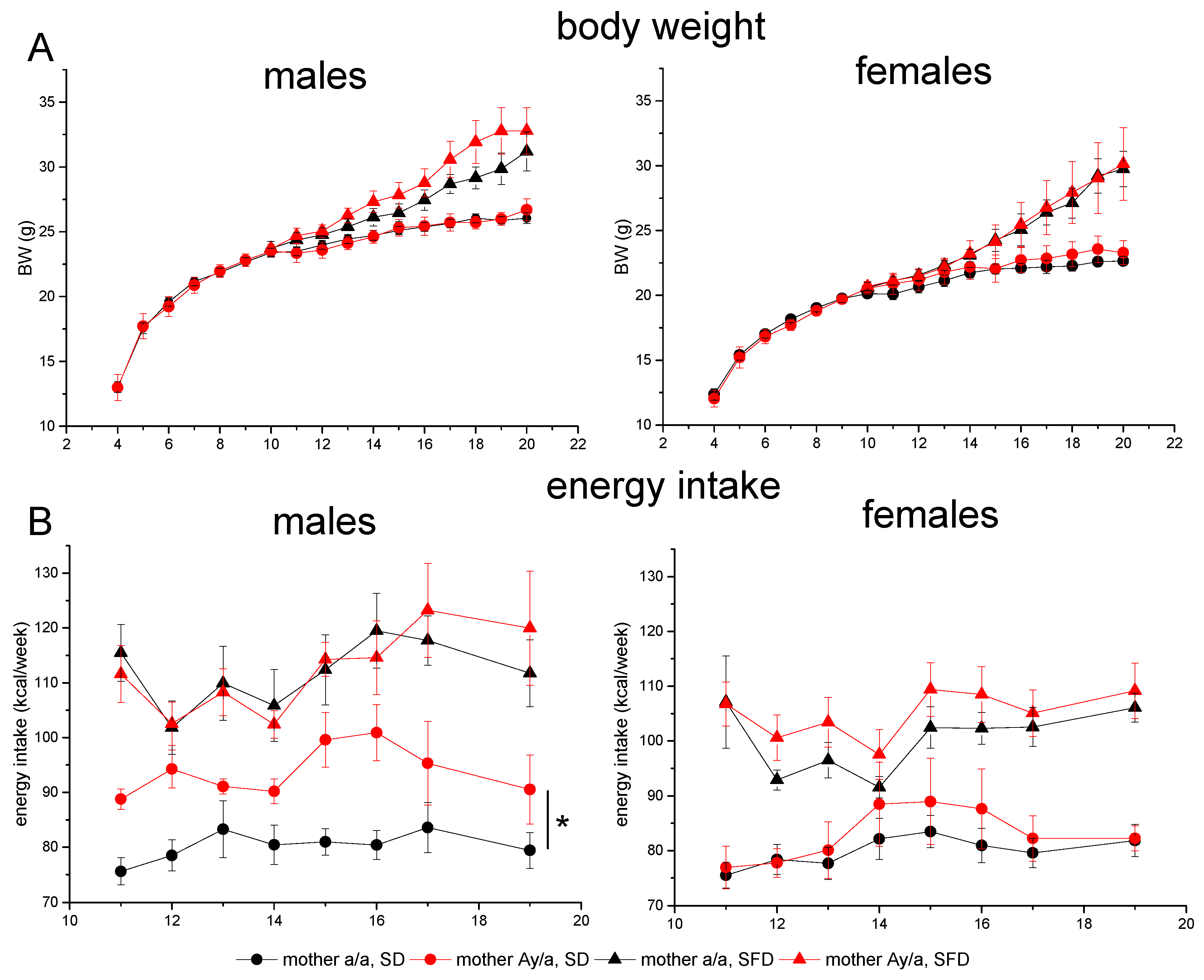 Ijms 24 05610 g002 Ijms 24 05610 g002