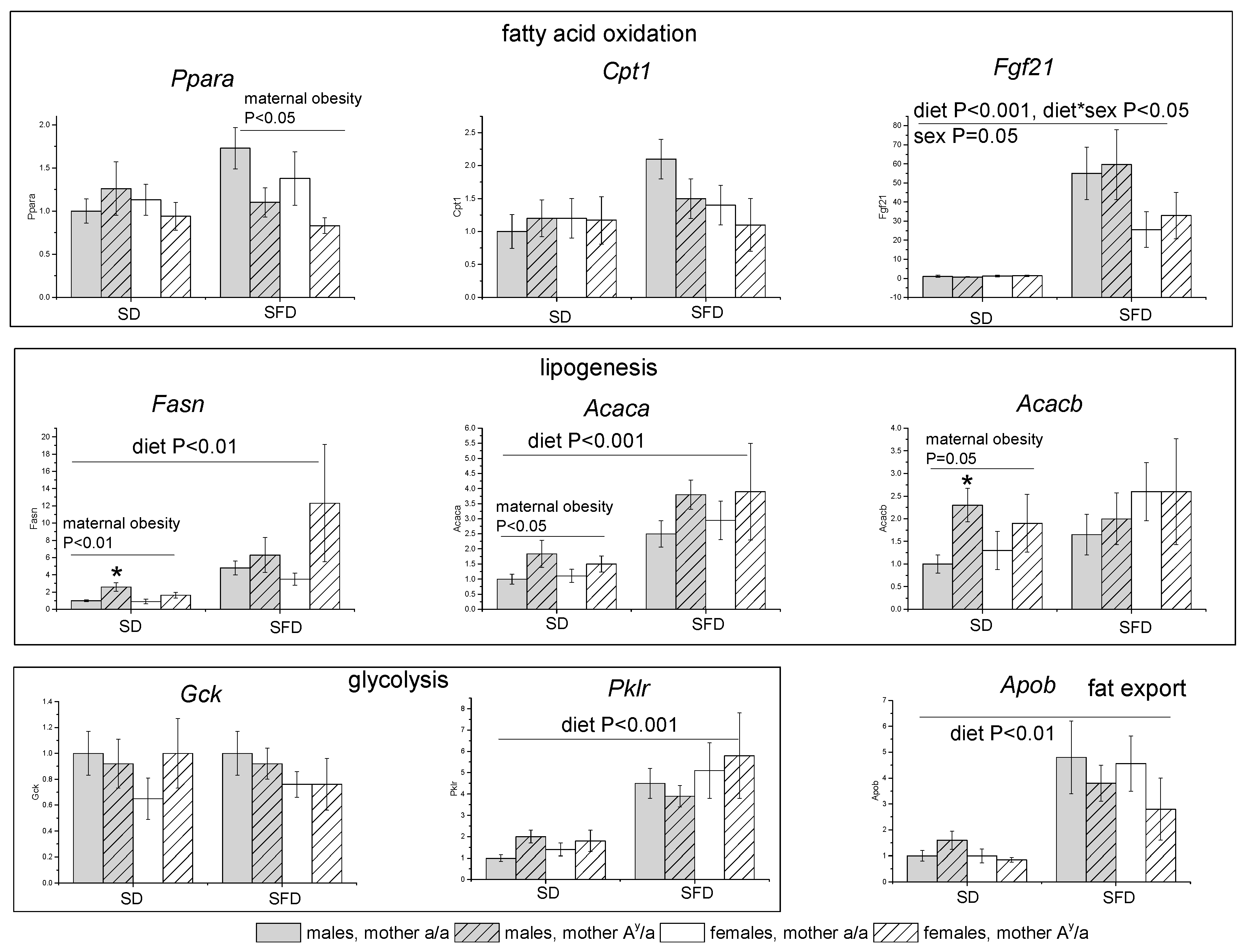 Ijms 24 05610 g005 Ijms 24 05610 g005