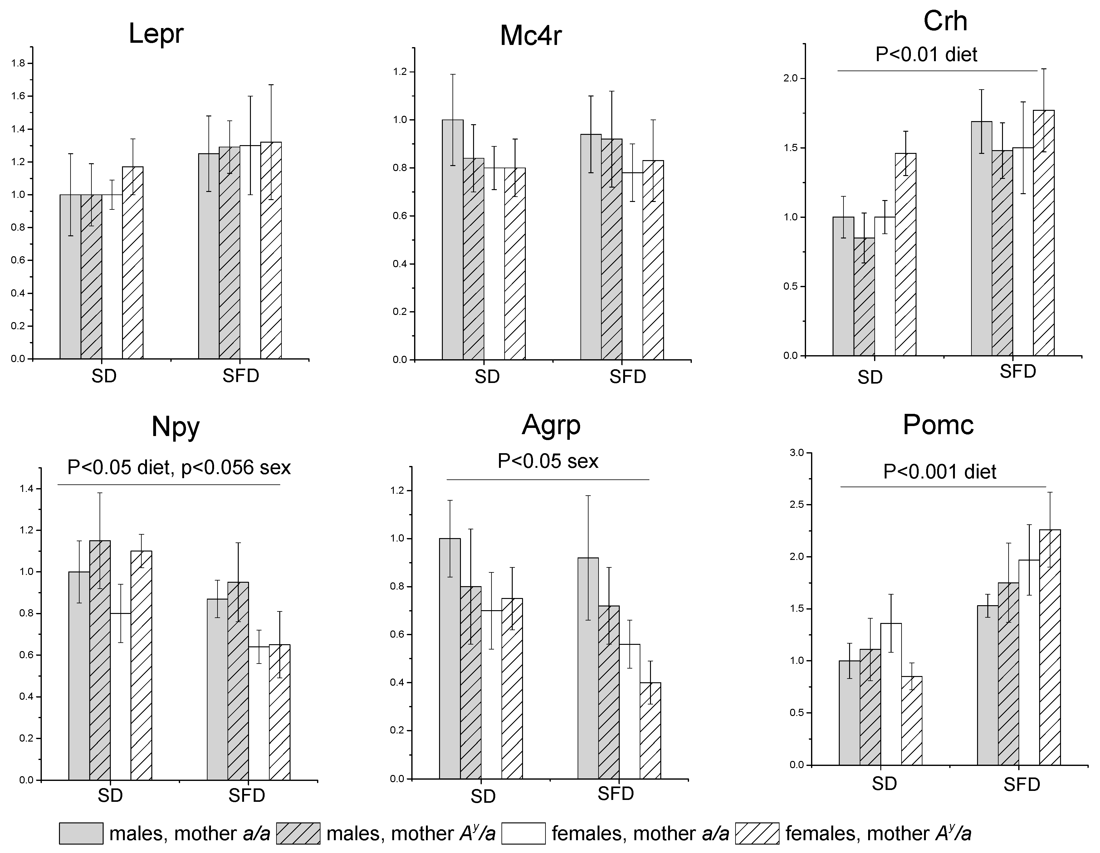 Ijms 24 05610 g006 Ijms 24 05610 g006
